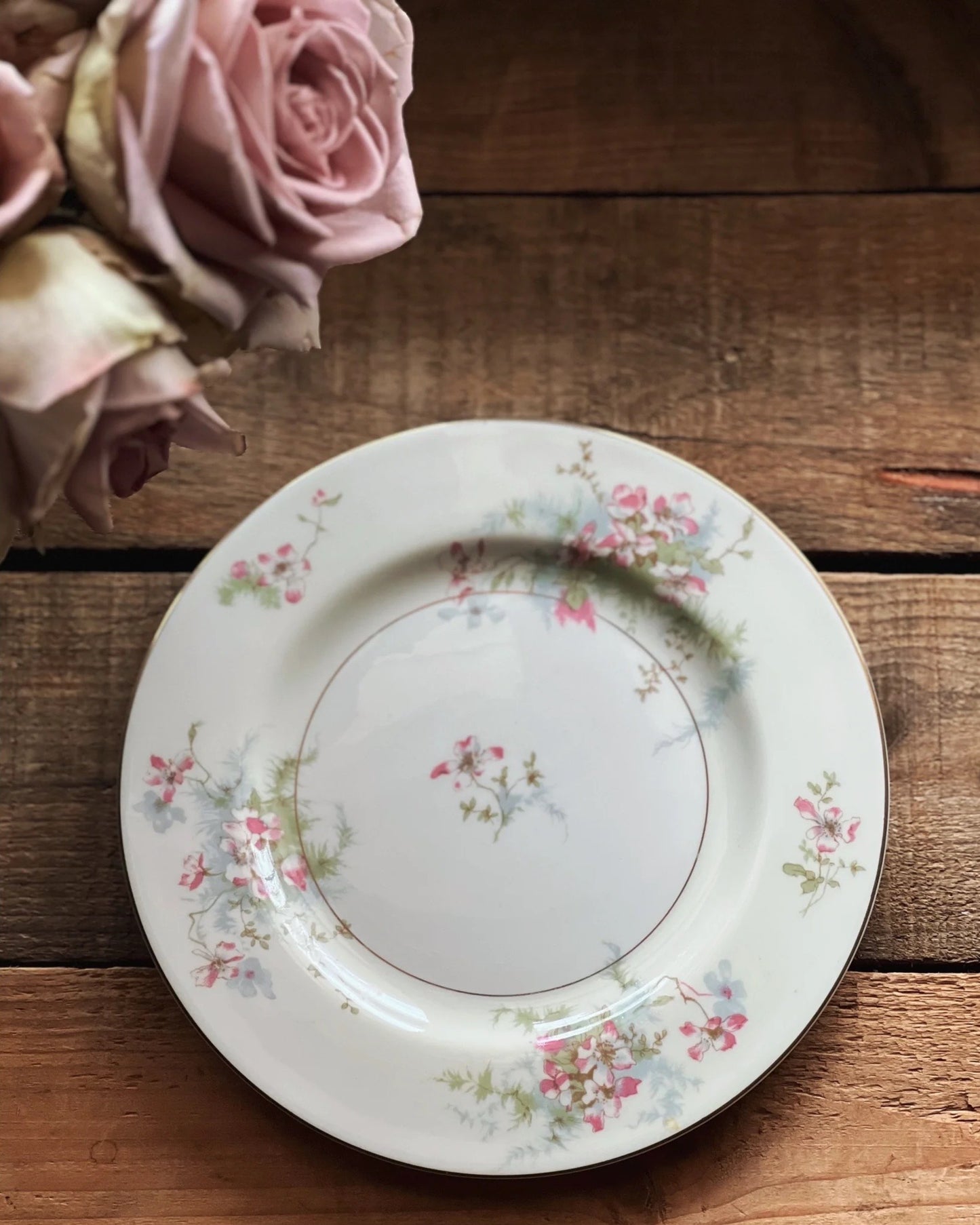 Set of 4 Vintage Theodore Haviland New York Apple Blossom Salad Plates