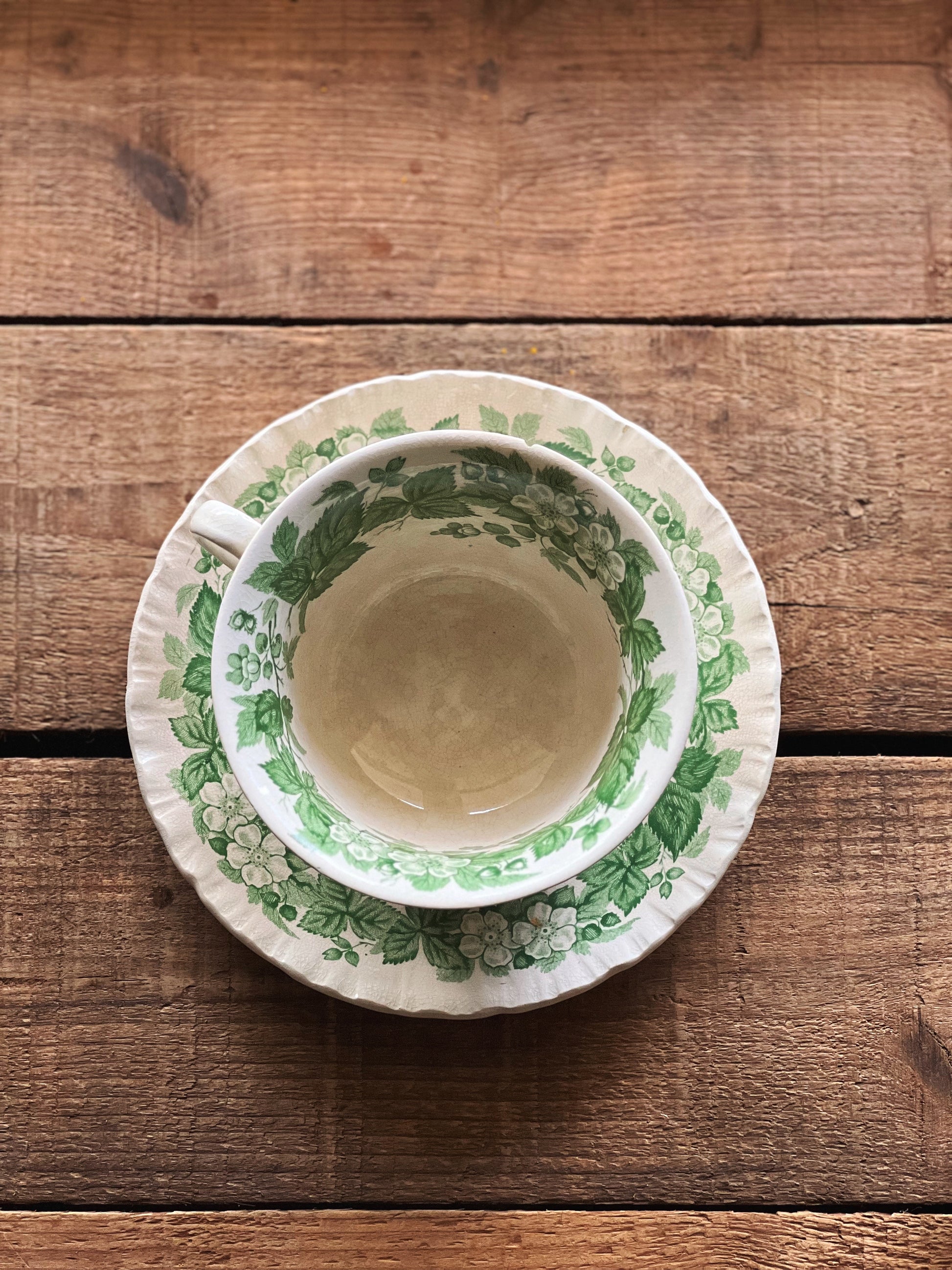 Vintage Wedgwood Etruria Bramble Green Tea Cup & Saucer Set