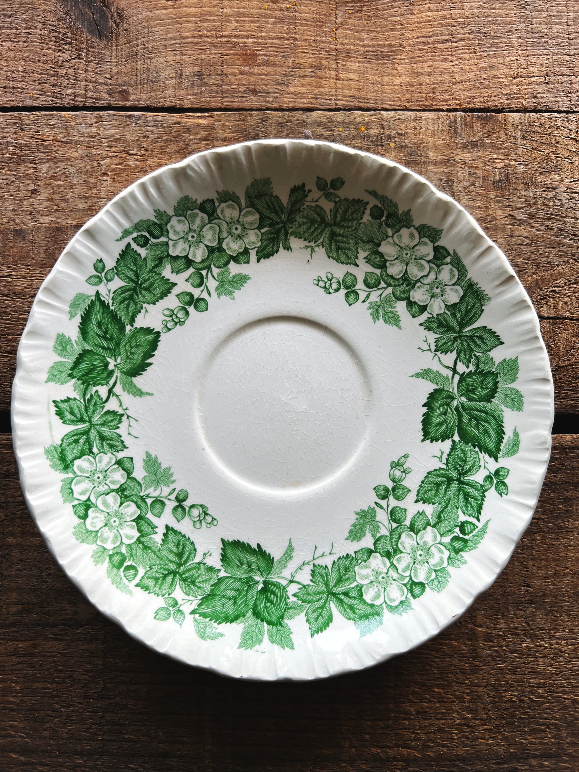 Vintage Wedgwood Etruria Bramble Green Tea Cup & Saucer Set
