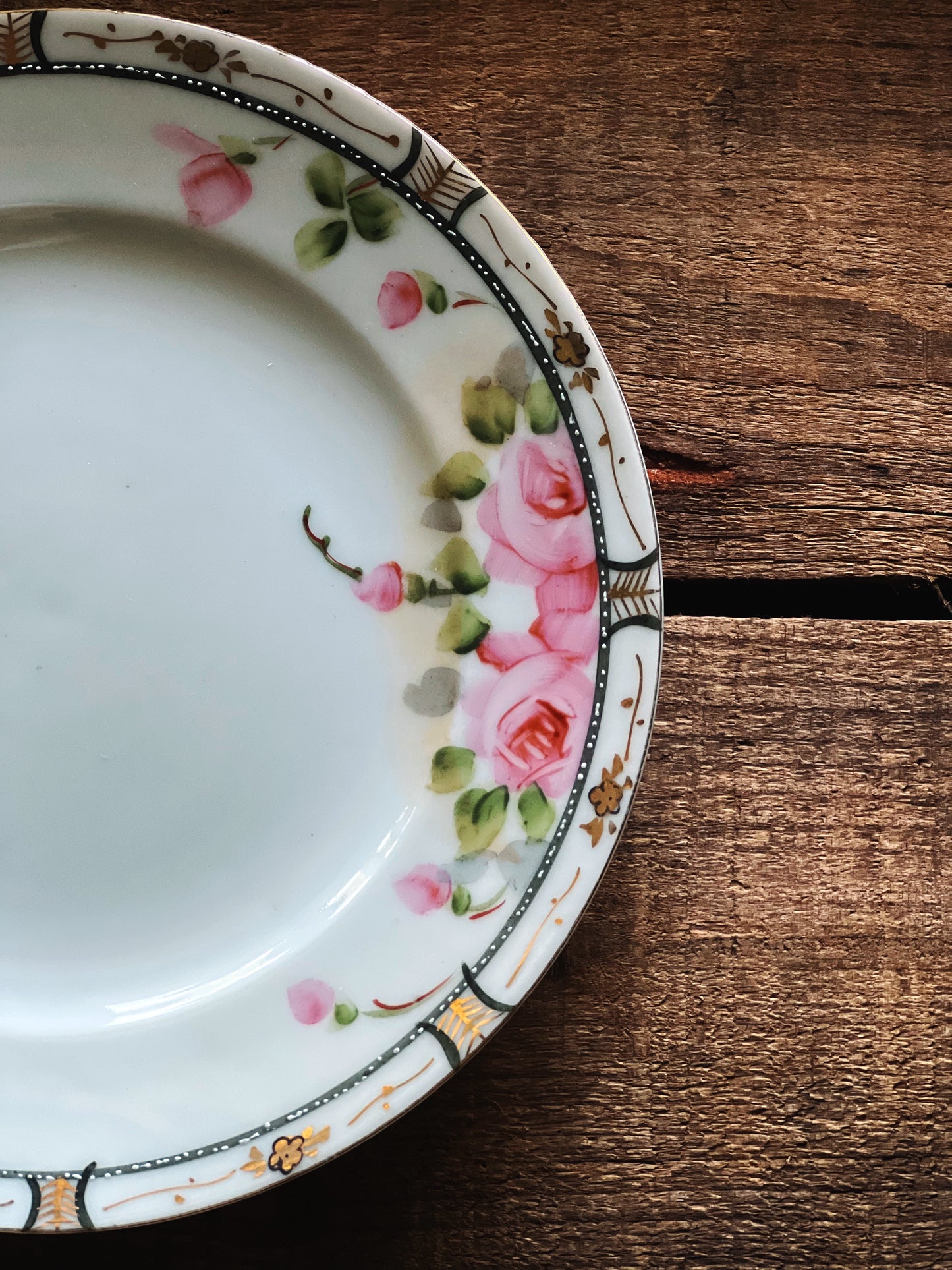 Pair of Antique Hand Painted Salad Plates