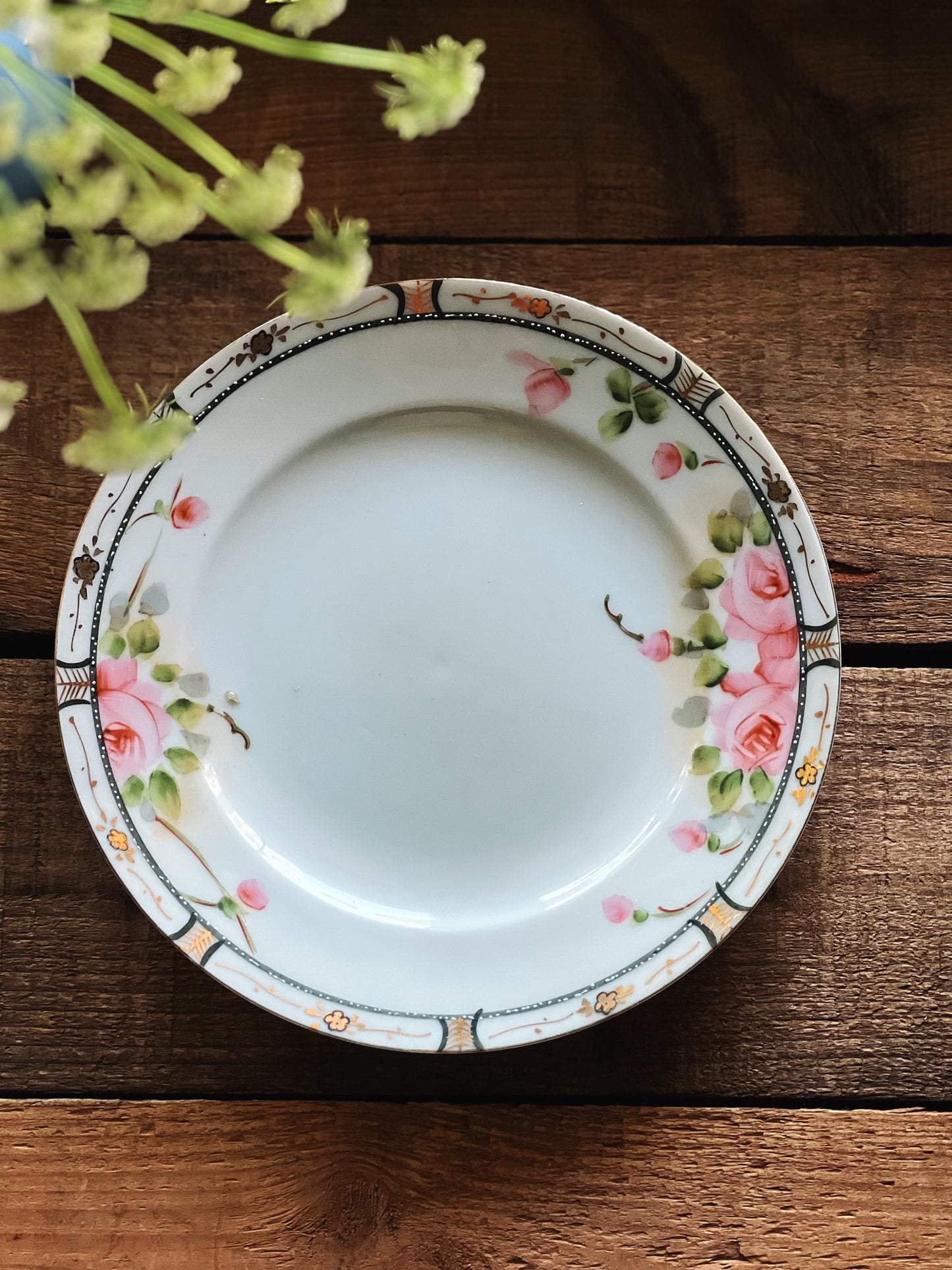 Pair of Antique Hand Painted Salad Plates