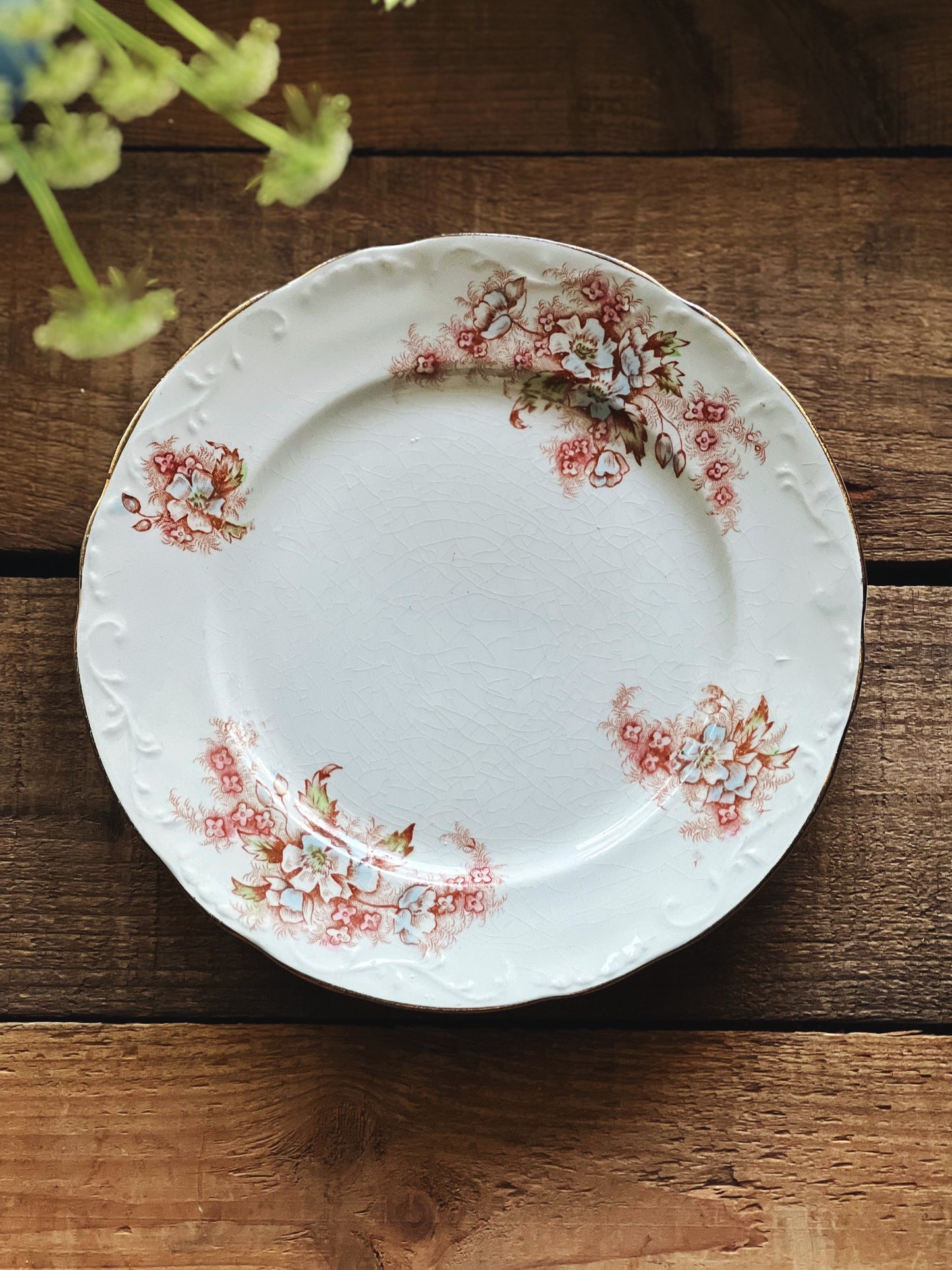 Antique East Liverpool Potteries Co Floral Salad Plate