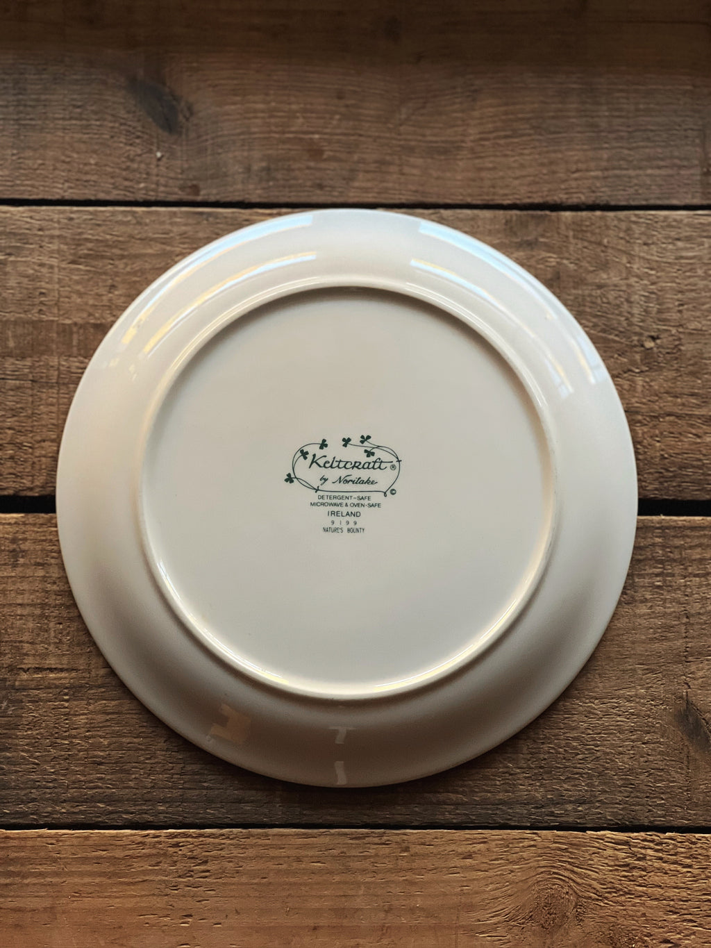 Vintage Noritake Keltcraft Nature's Bounty Salad Plate