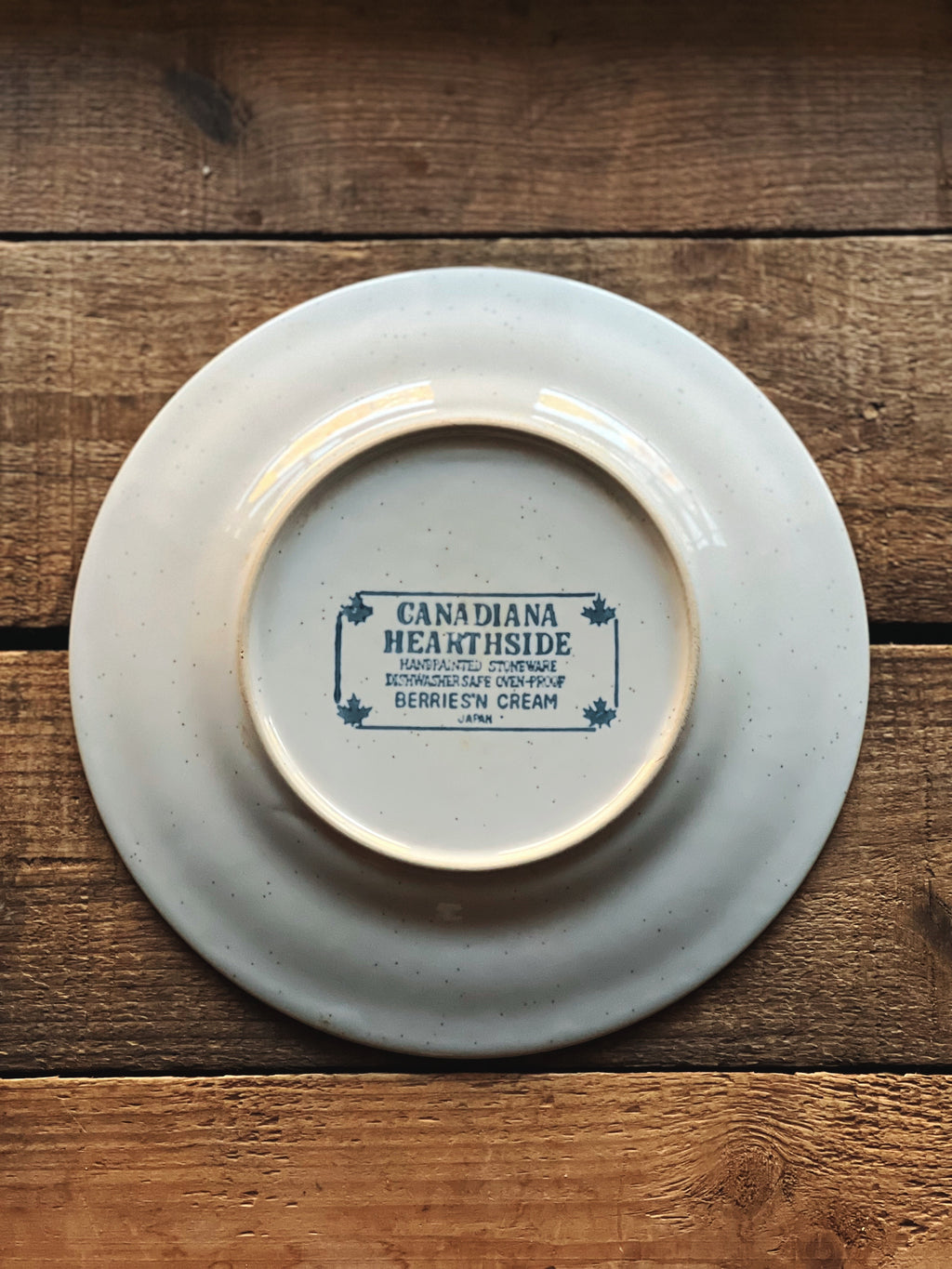 Vintage Pair of Canadiana Hearthside Berries & Cream Salad Plates