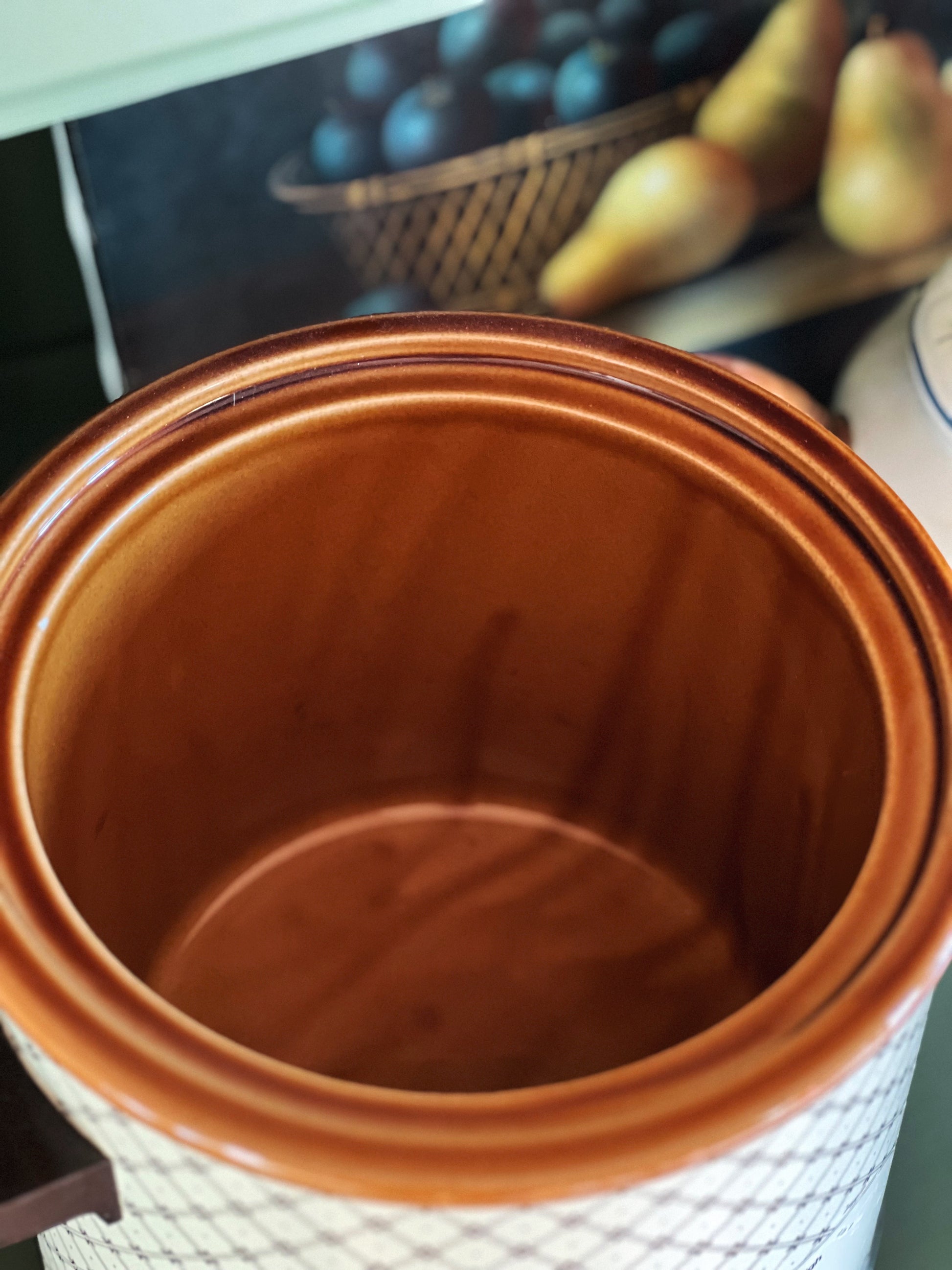 Vintage Rival 3.5 Quart Multi Temperature Slow Cooker