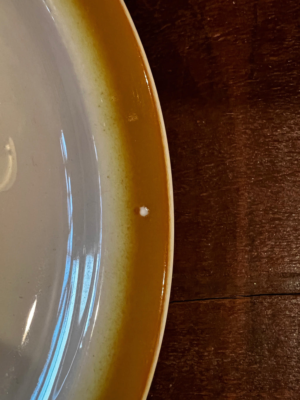 Vintage Buffalo China Golden Rim Luncheon Plate