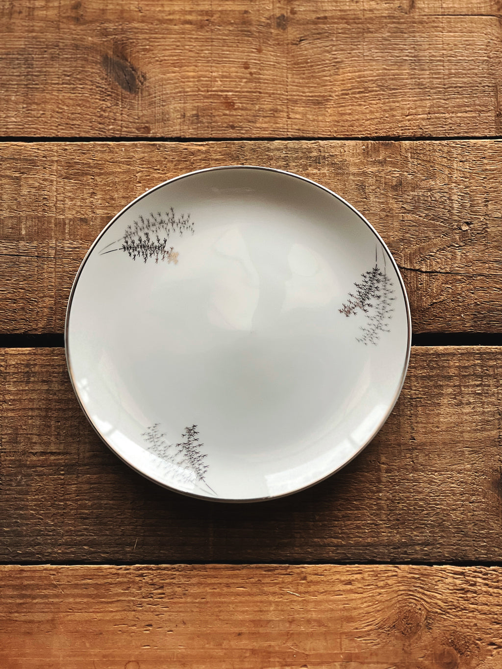 White ceramic plate with subtle design on a wooden surface