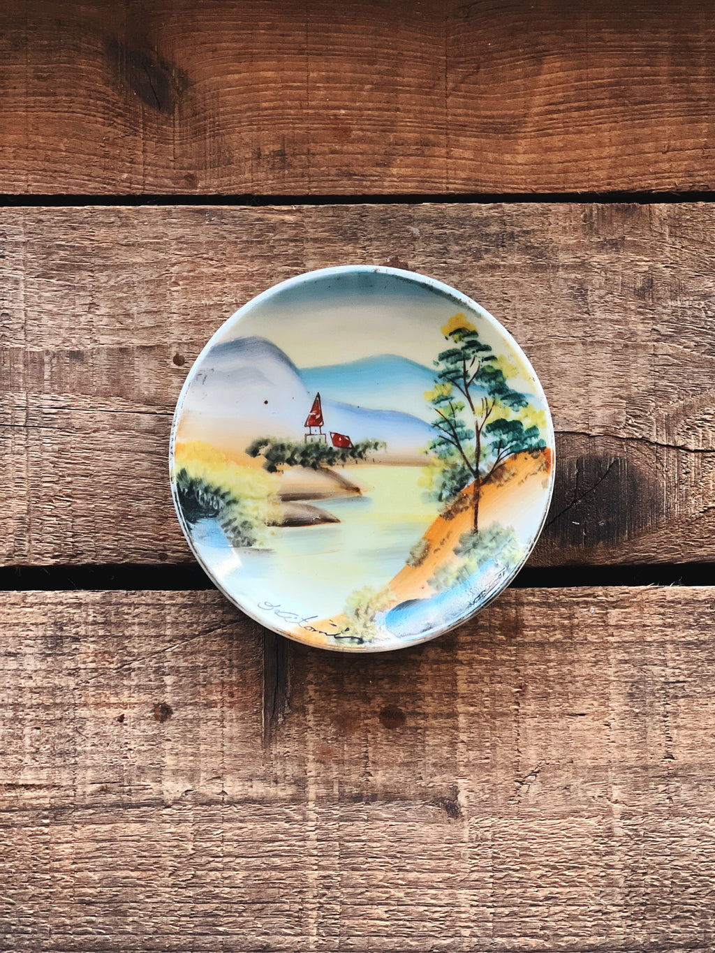 Decorative plate with a scenic design on a wooden surface