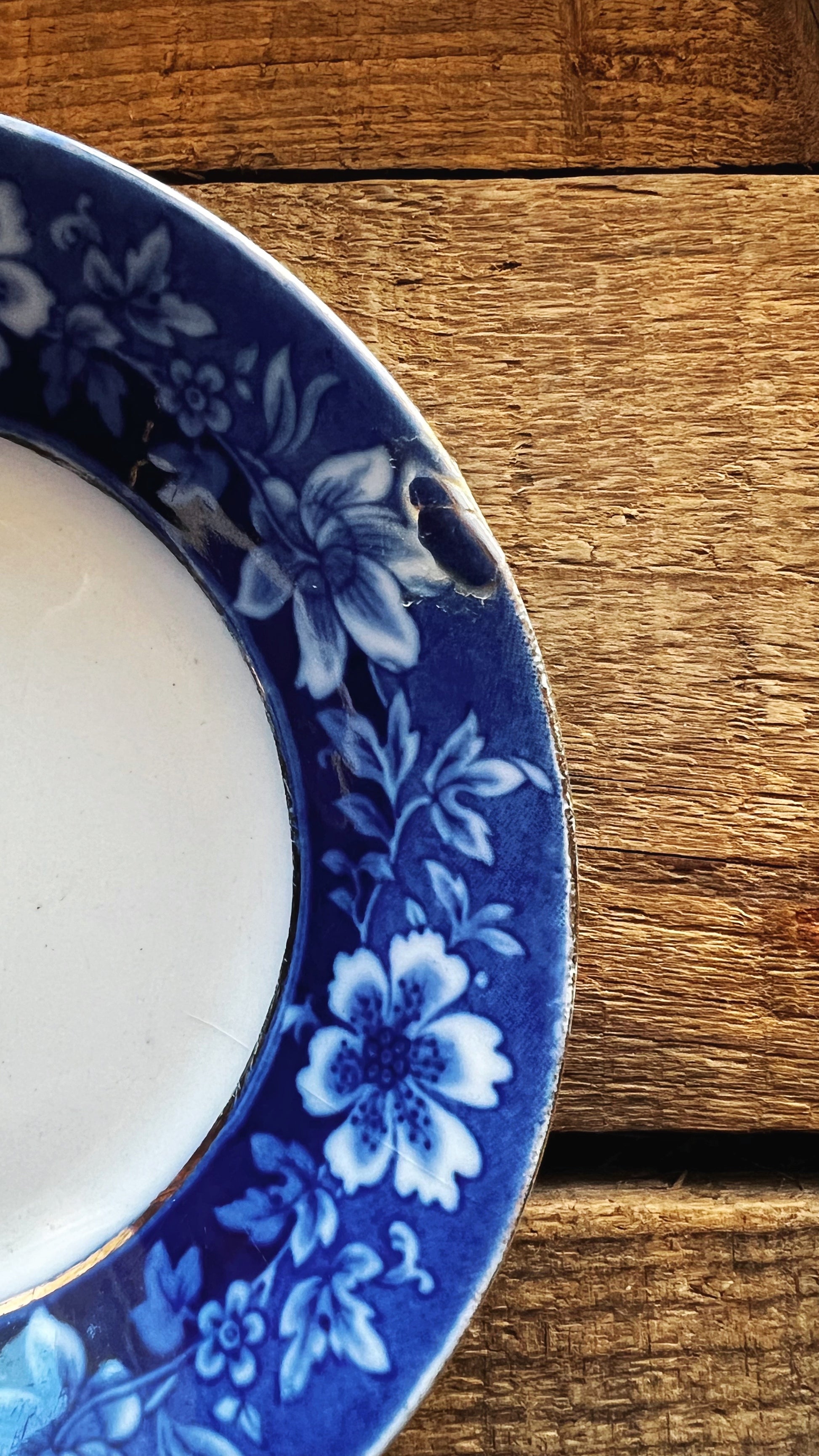 Curated Pair of Vintage Berry Bowls