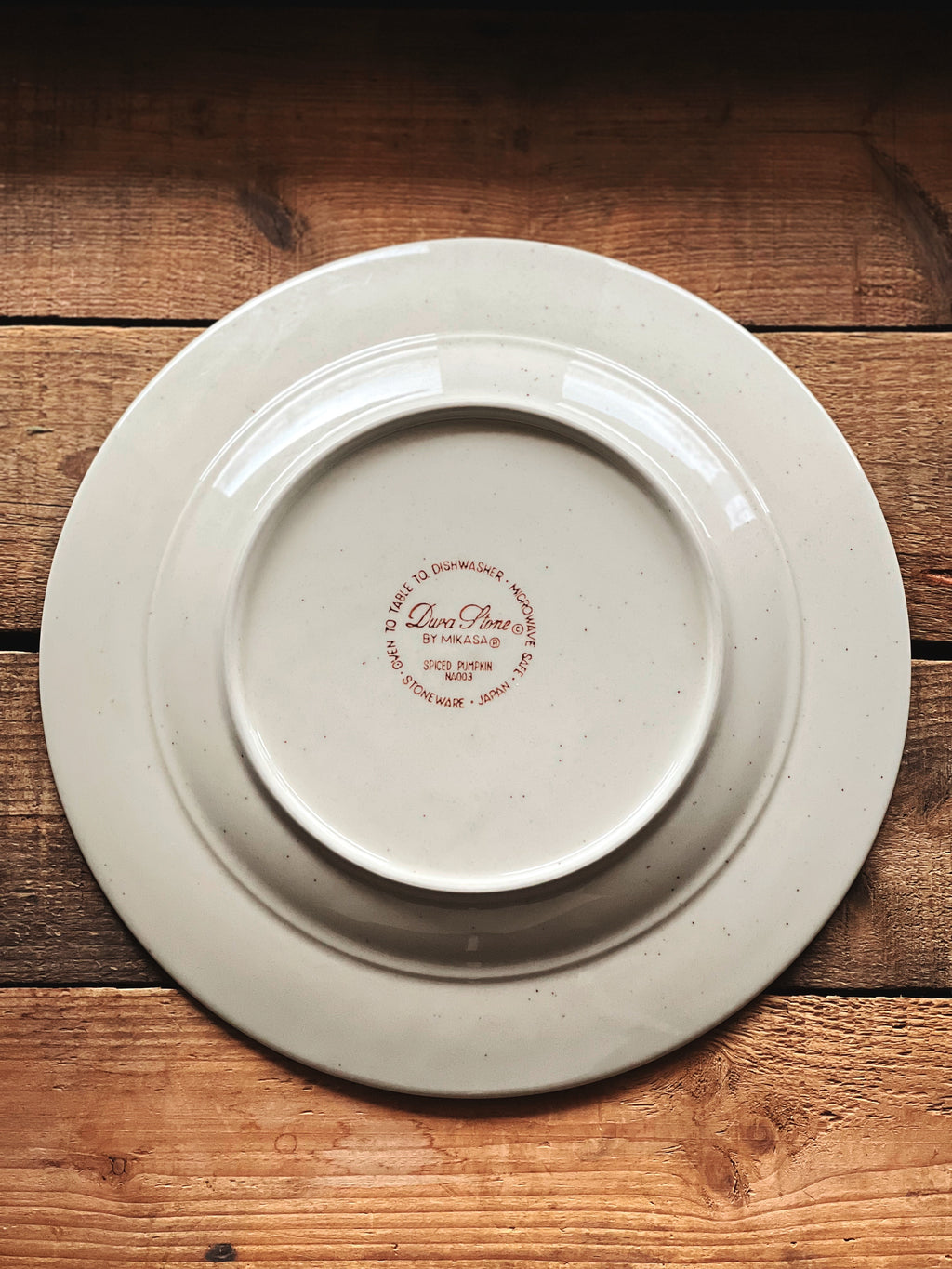 Vintage Mikasa Durastone Spiced Pumpkin Dinner Plate