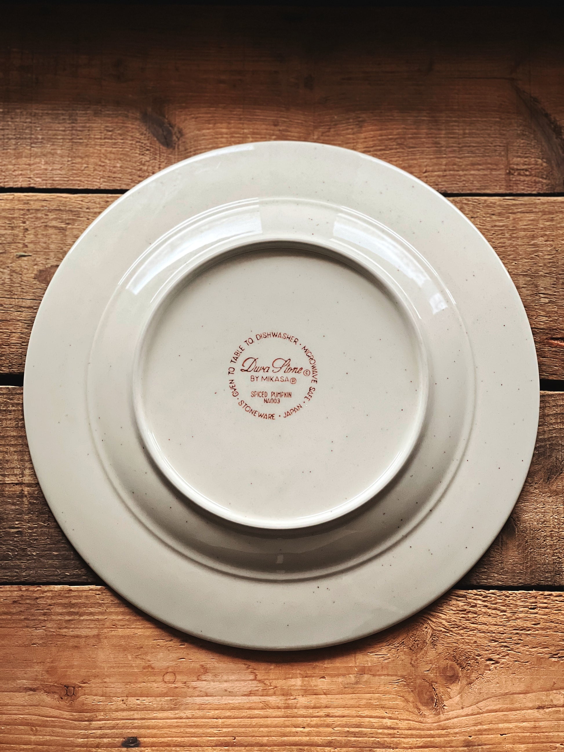 Vintage Mikasa Durastone Spiced Pumpkin Dinner Plate
