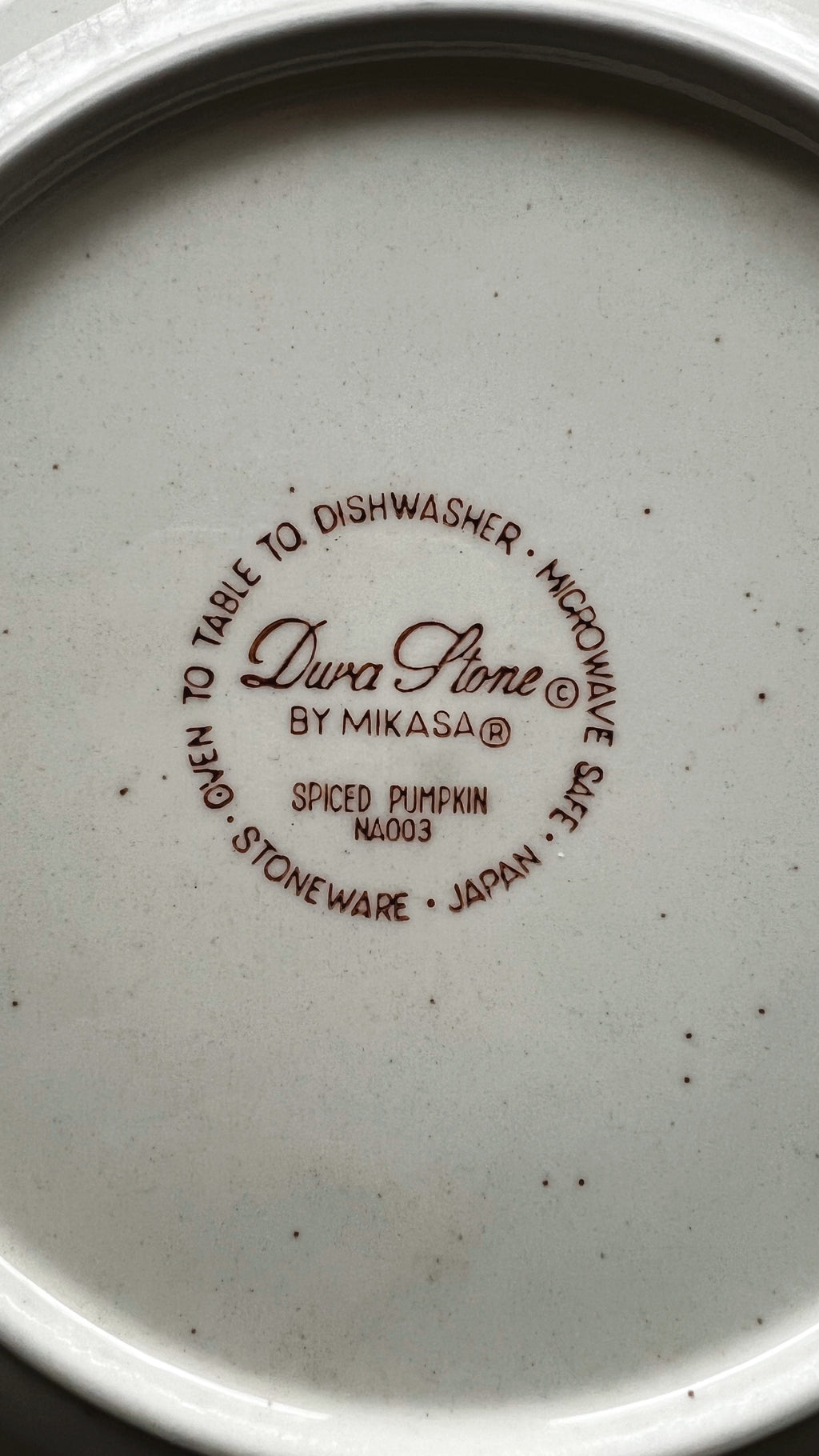 Vintage Mikasa Durastone Spiced Pumpkin Dinner Plate