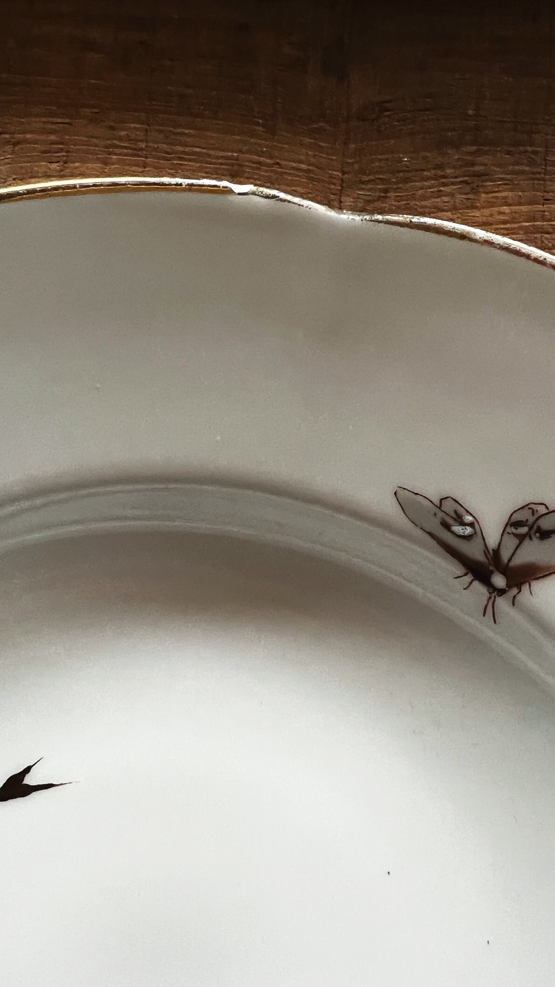 Antique Transferware Rimmed Soup Bowl