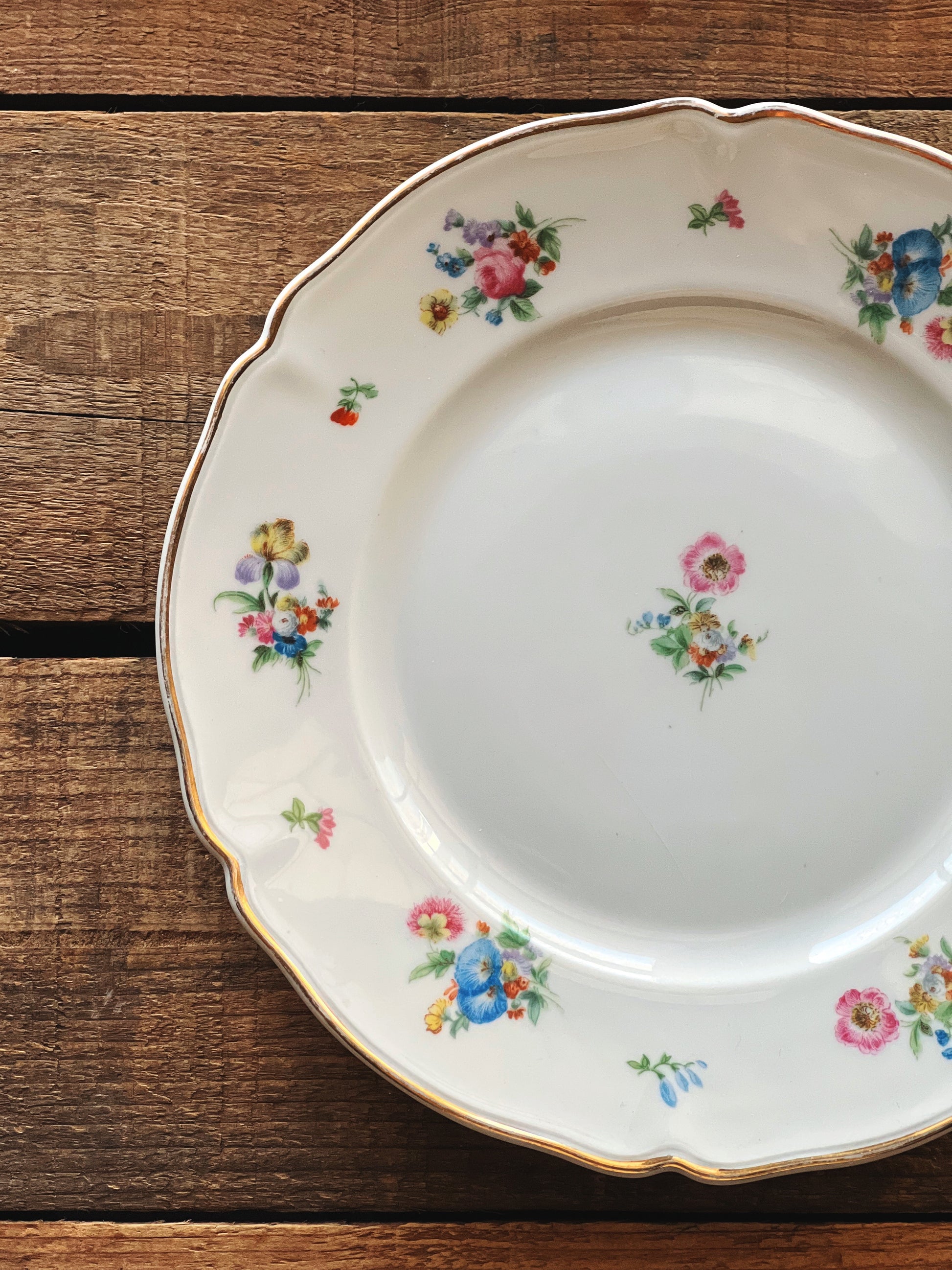 Vintage Hutschenreuther Bavaria Germany The Franklin Salad Plate