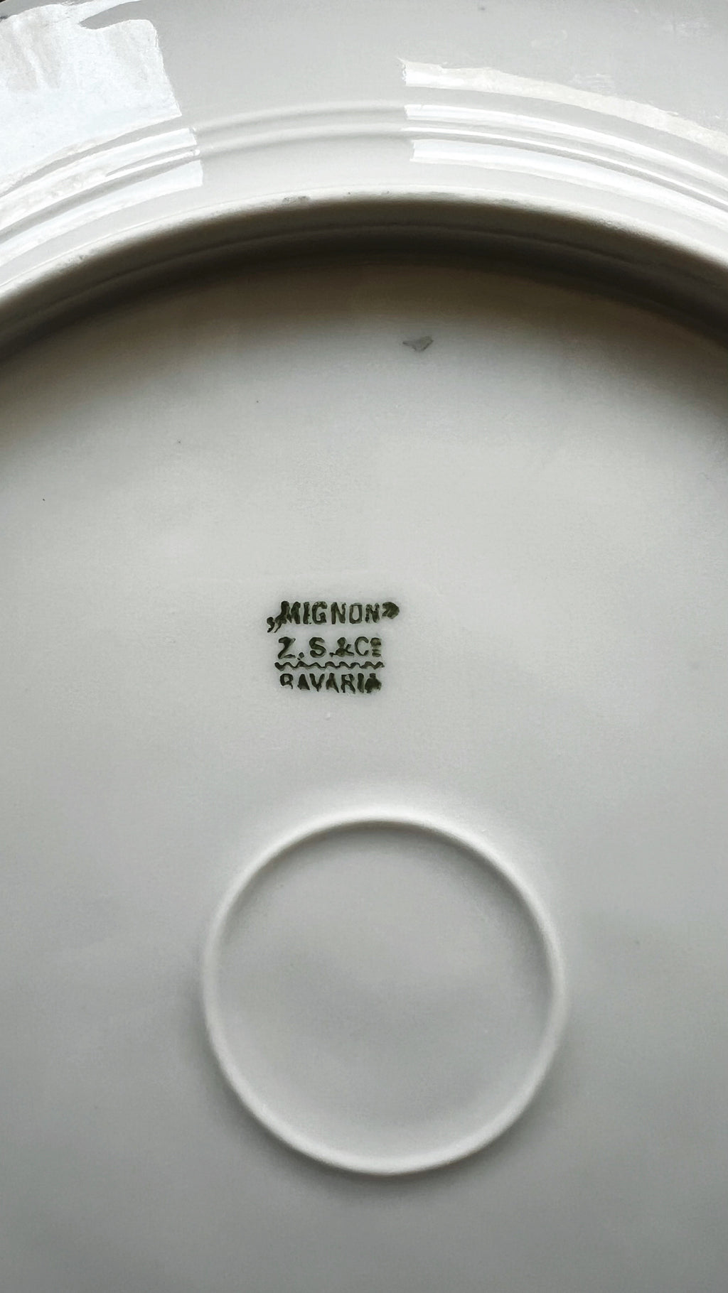 Antique Z.S&Co Bavaria Mignon Floral Dinner Plate