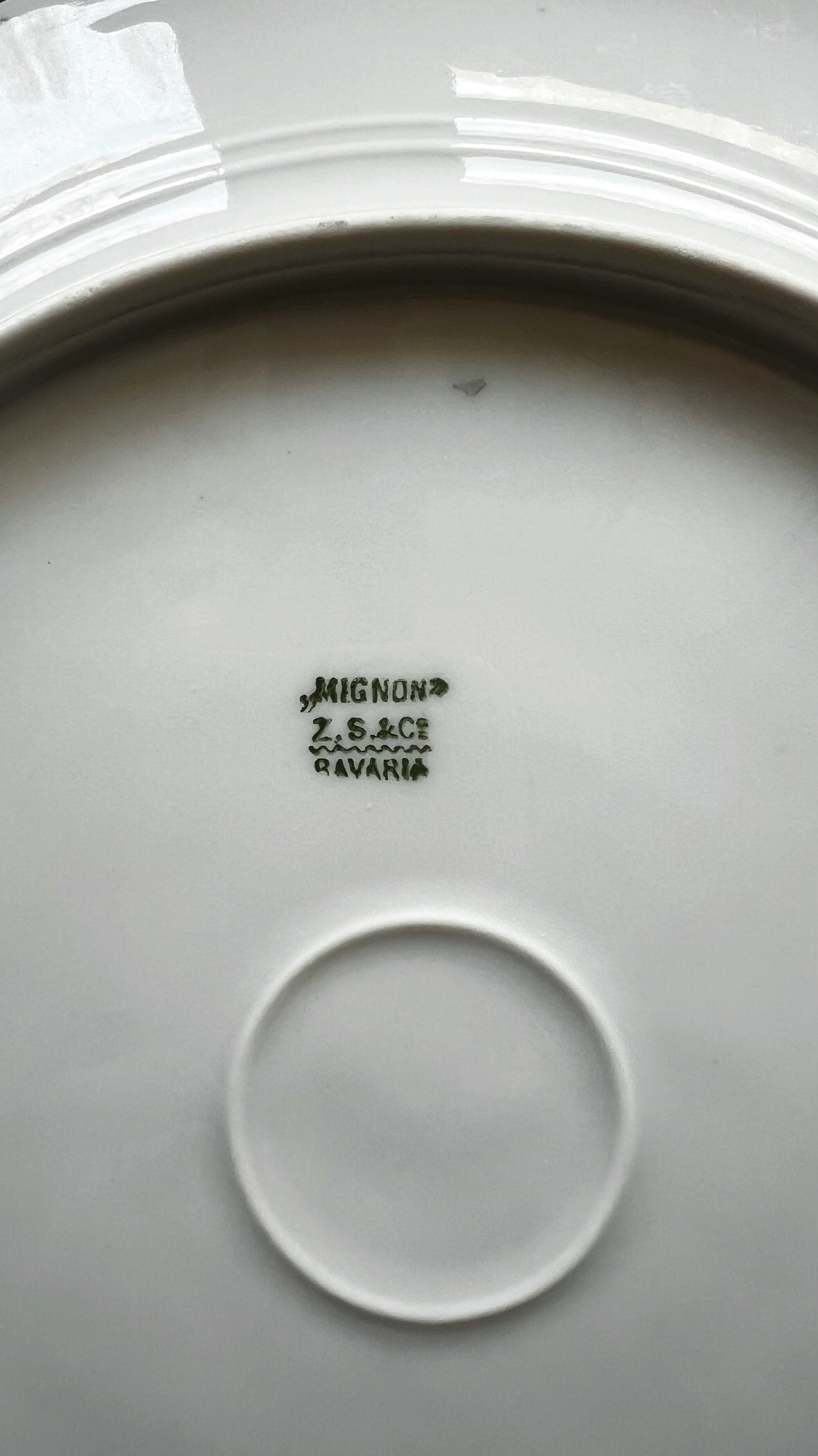 Antique Z.S&Co Bavaria Mignon Floral Dinner Plate