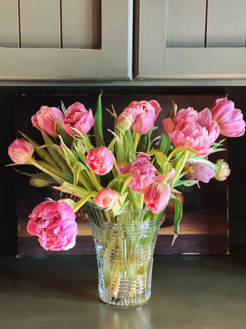 Clear glass vase with pink tulips on a reflective surface