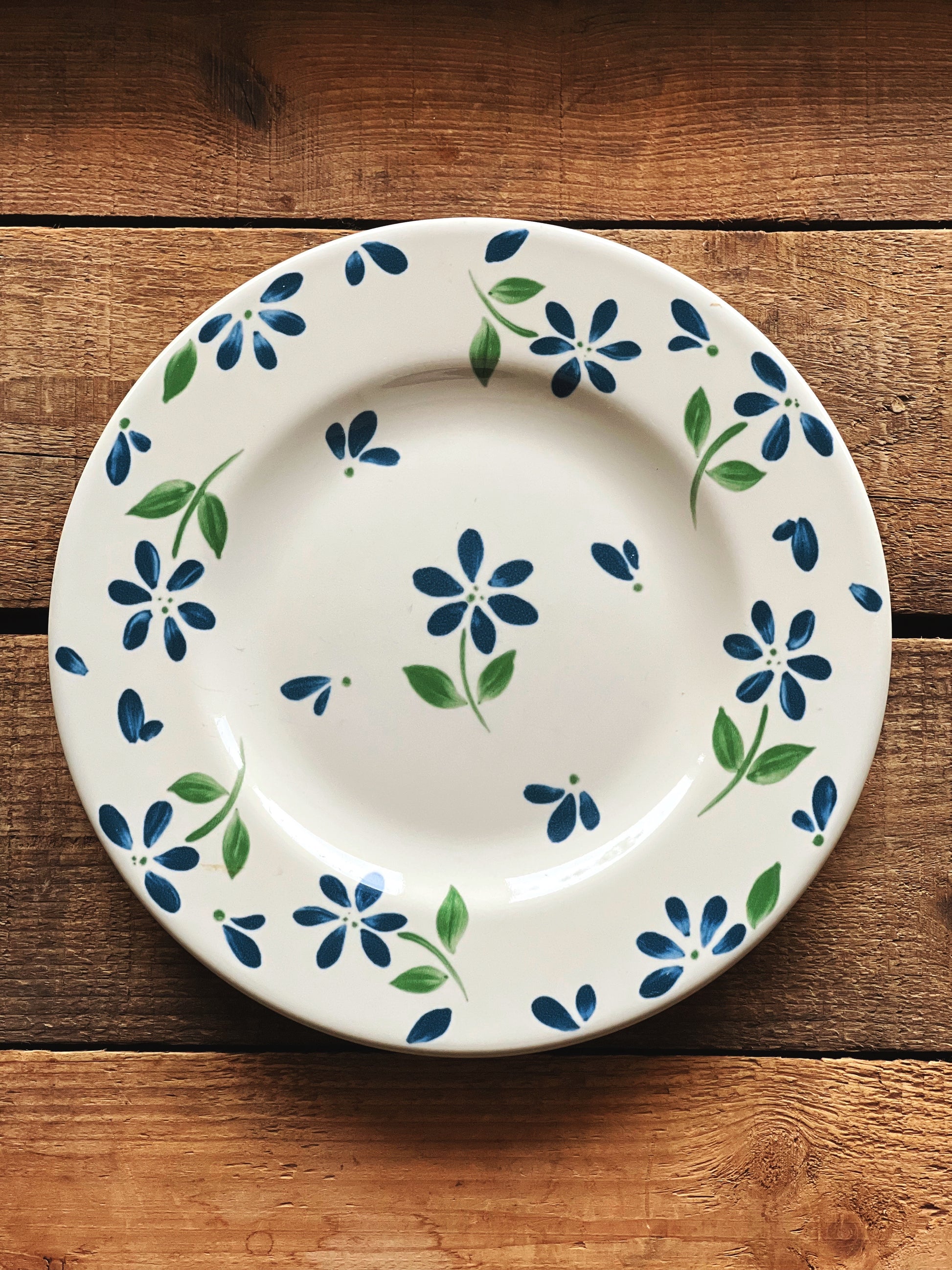 Set of four vintage Pfaltzgraff Springwood salad plates featuring blue and green floral motifs on cream stoneware.