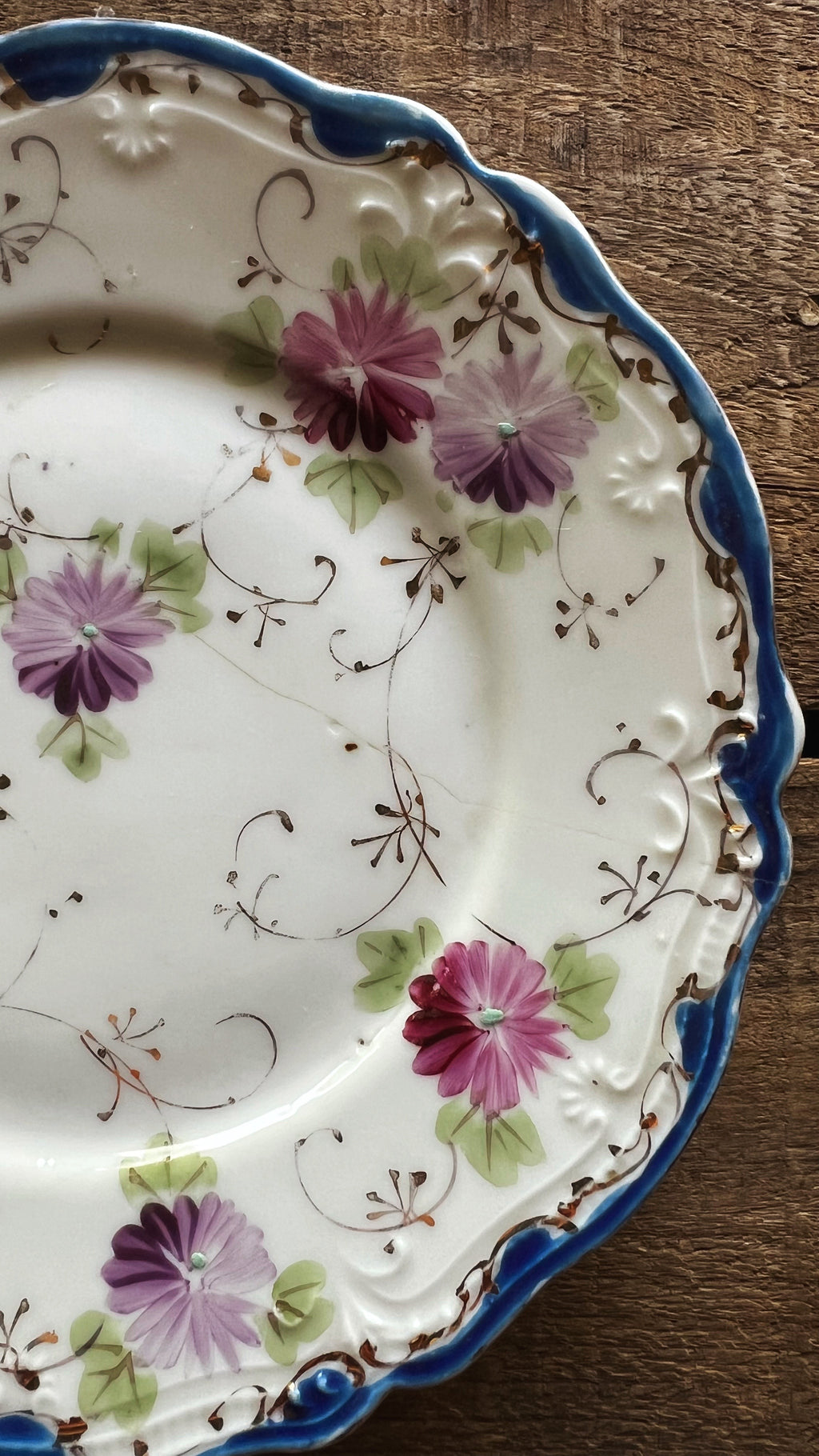 hairline crack detail on vintage floral plate edge