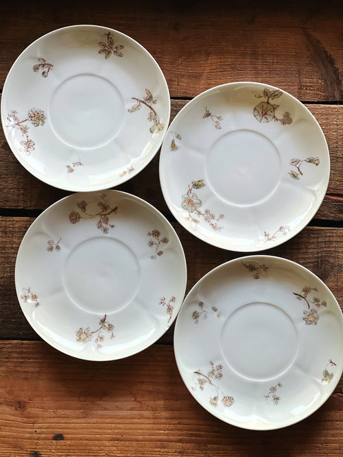 Overhead view of vintage French floral porcelain saucers in soft taupe and gray tones