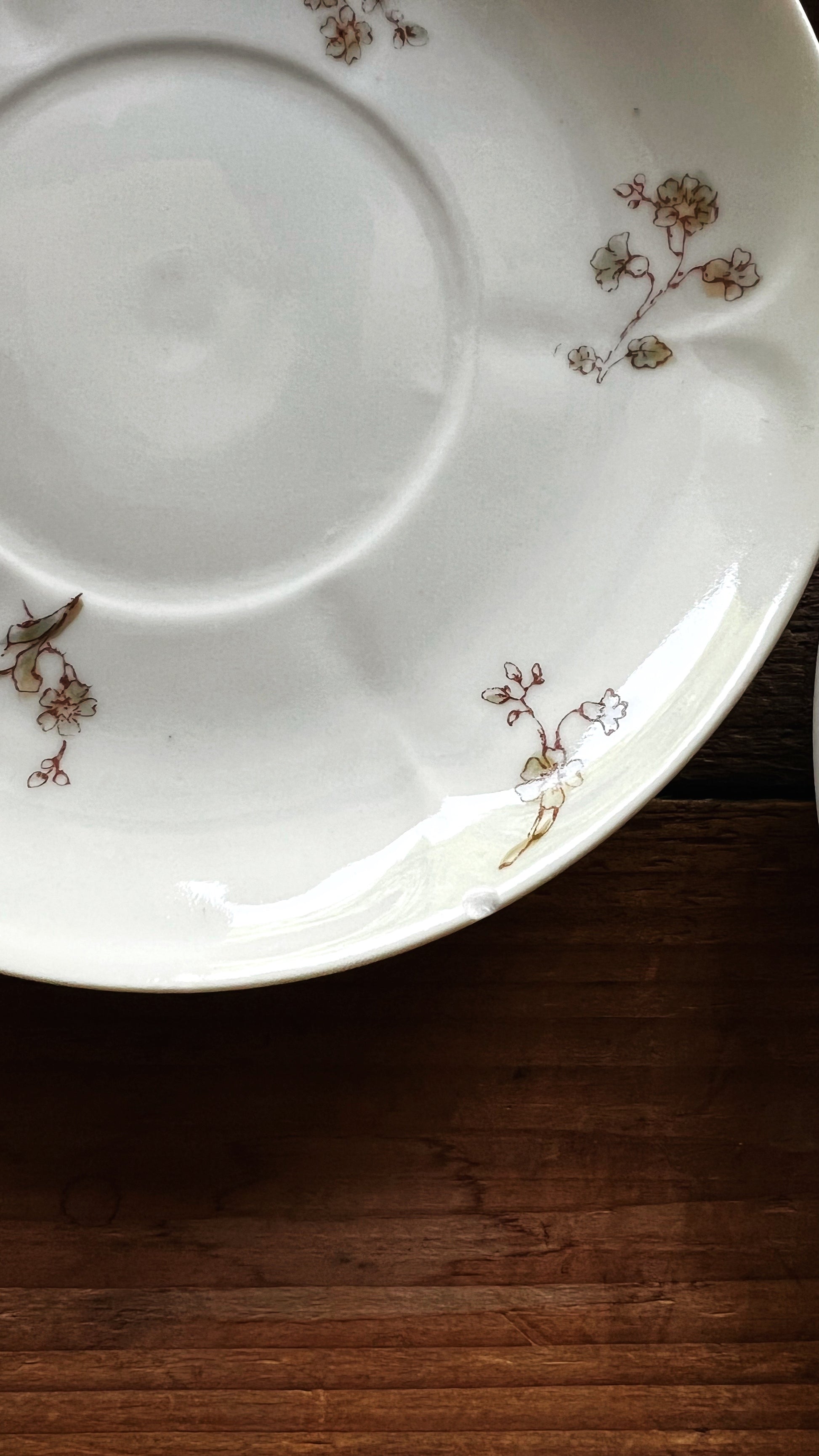 Floral detail on vintage Charles Field Haviland Limoges saucer