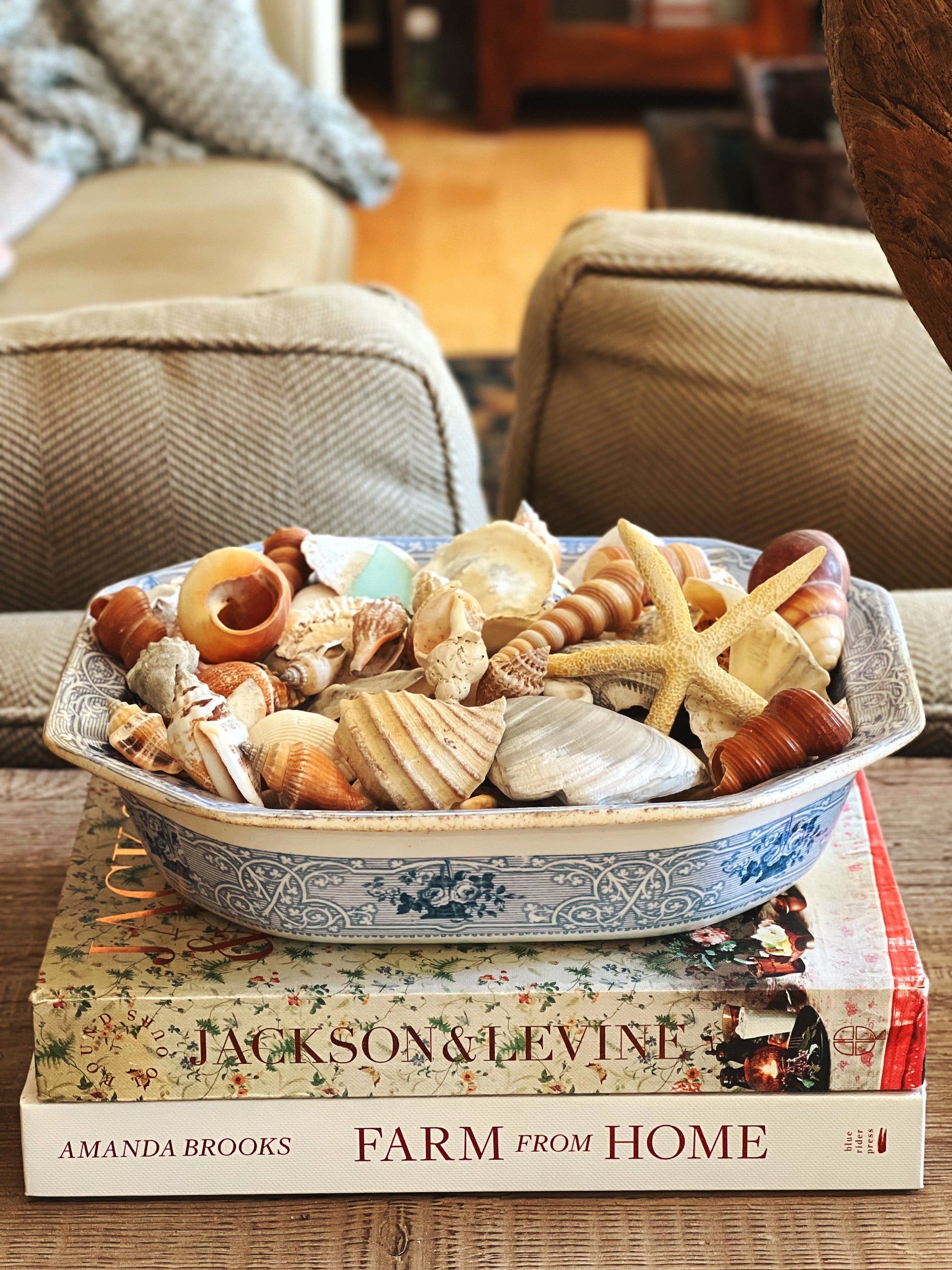 Antique 1848 J. Meir & Son blue and white transferware serving bowl filled with shells, styled on vintage books in a collected coastal interior