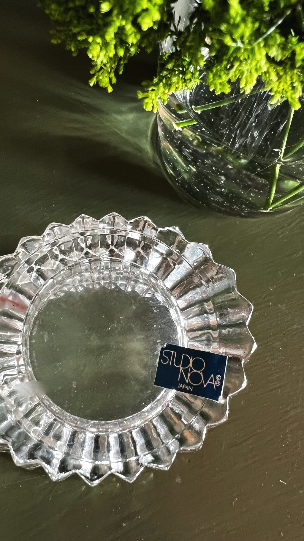 Clear glass dish with decorative edge on a dark surface, featuring 'Studio Nova' branding.