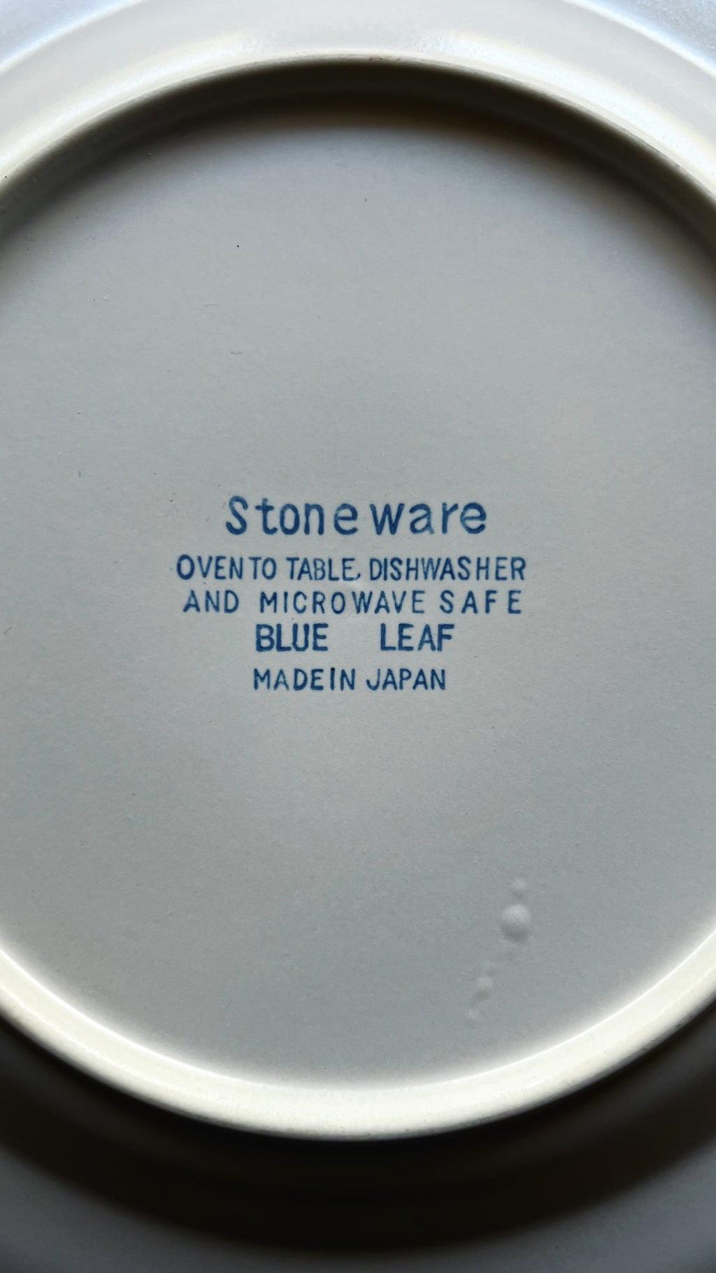Vintage Japanese Blue Leaf Stoneware Dinner Plate