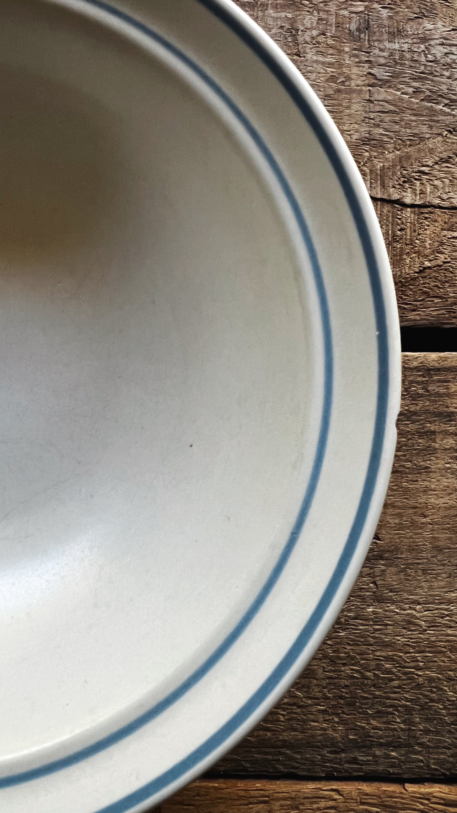 small edge chip on a stoneware cereal bowl