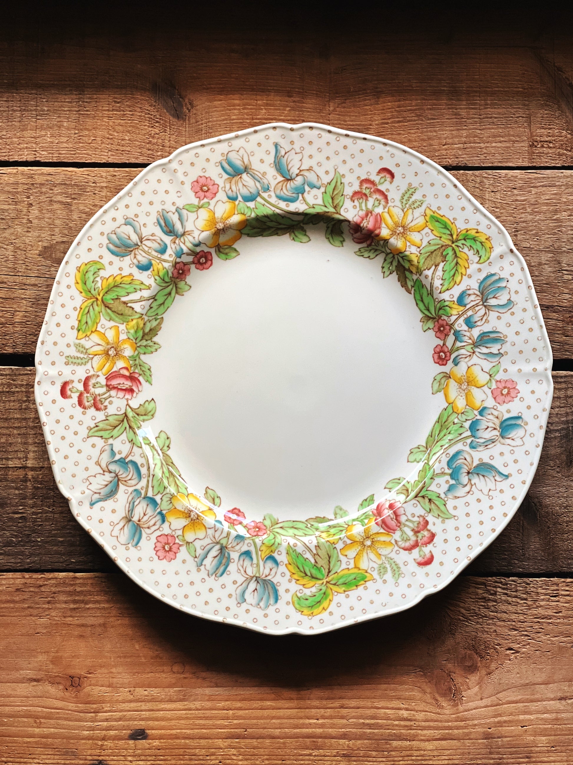 Rare Alfred Meakin Irma floral dinner plate with scalloped edge and colorful English transferware border on rustic wood surface