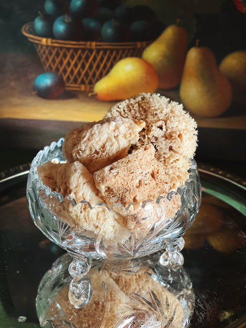 Vintage pinwheel cut crystal three-footed bon bon dish filled with natural sea sponges against a still life of pears and dark fruit