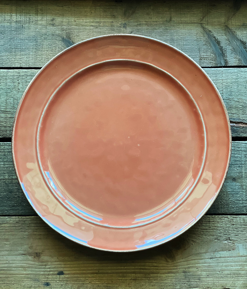 Pottery Barn Cambria Persimmon Dinner Plate on a rustic wood surface