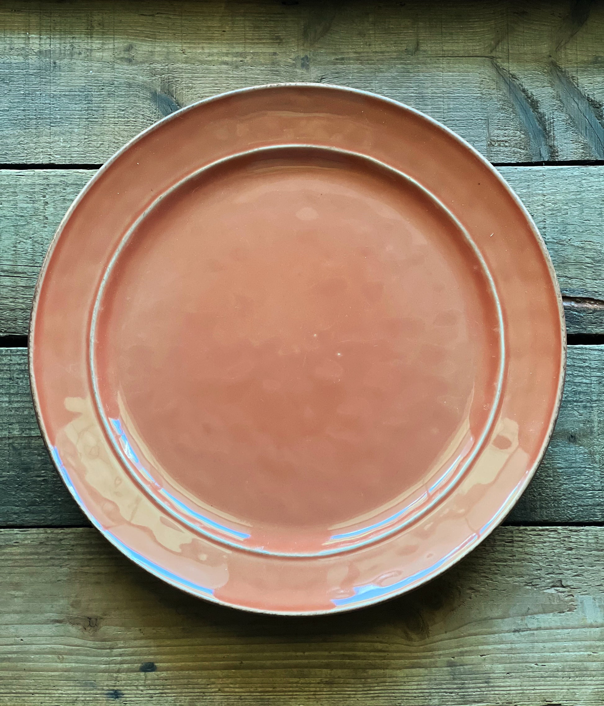 Pottery Barn Cambria Persimmon Dinner Plate on a rustic wood surface