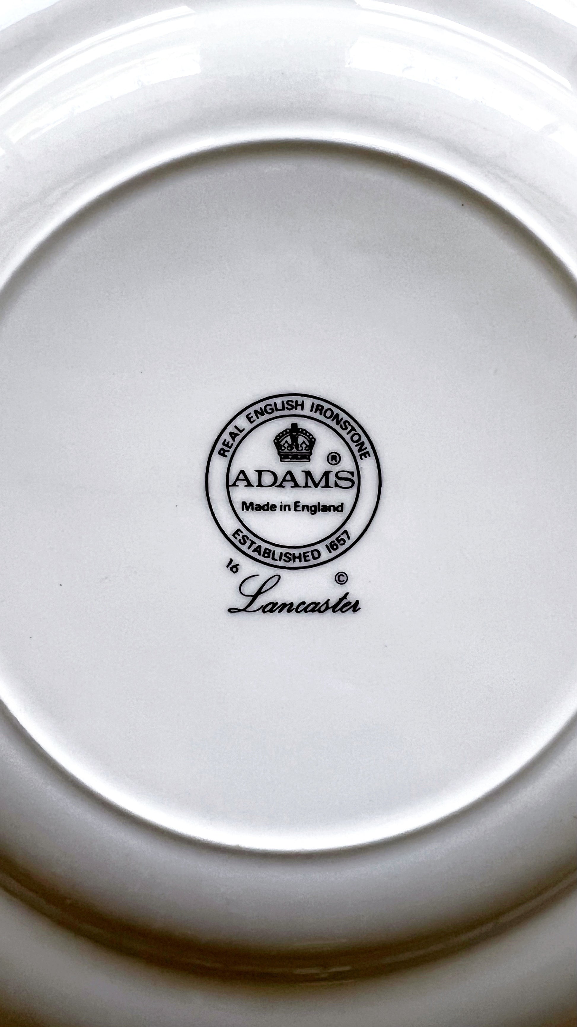 Close-up of a white plate with 'Adams' branding on a light gray background