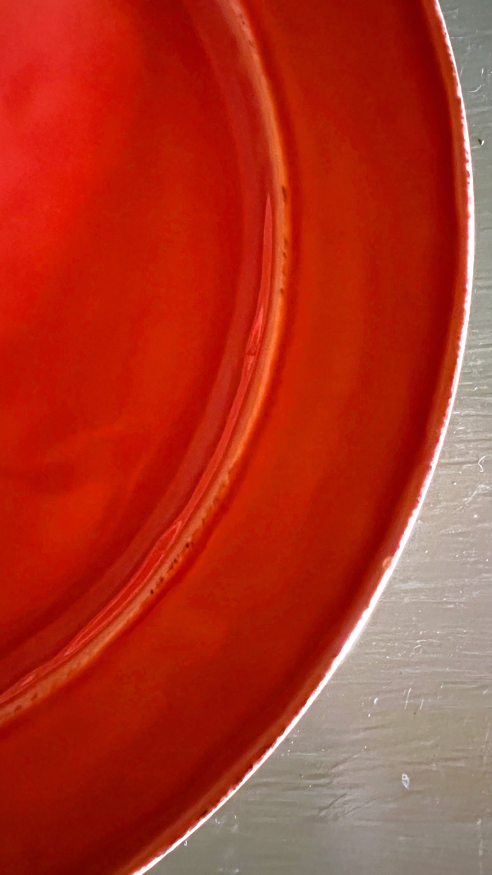 Pottery Barn Cambria Persimmon Dinner Plate | Made in Portugal