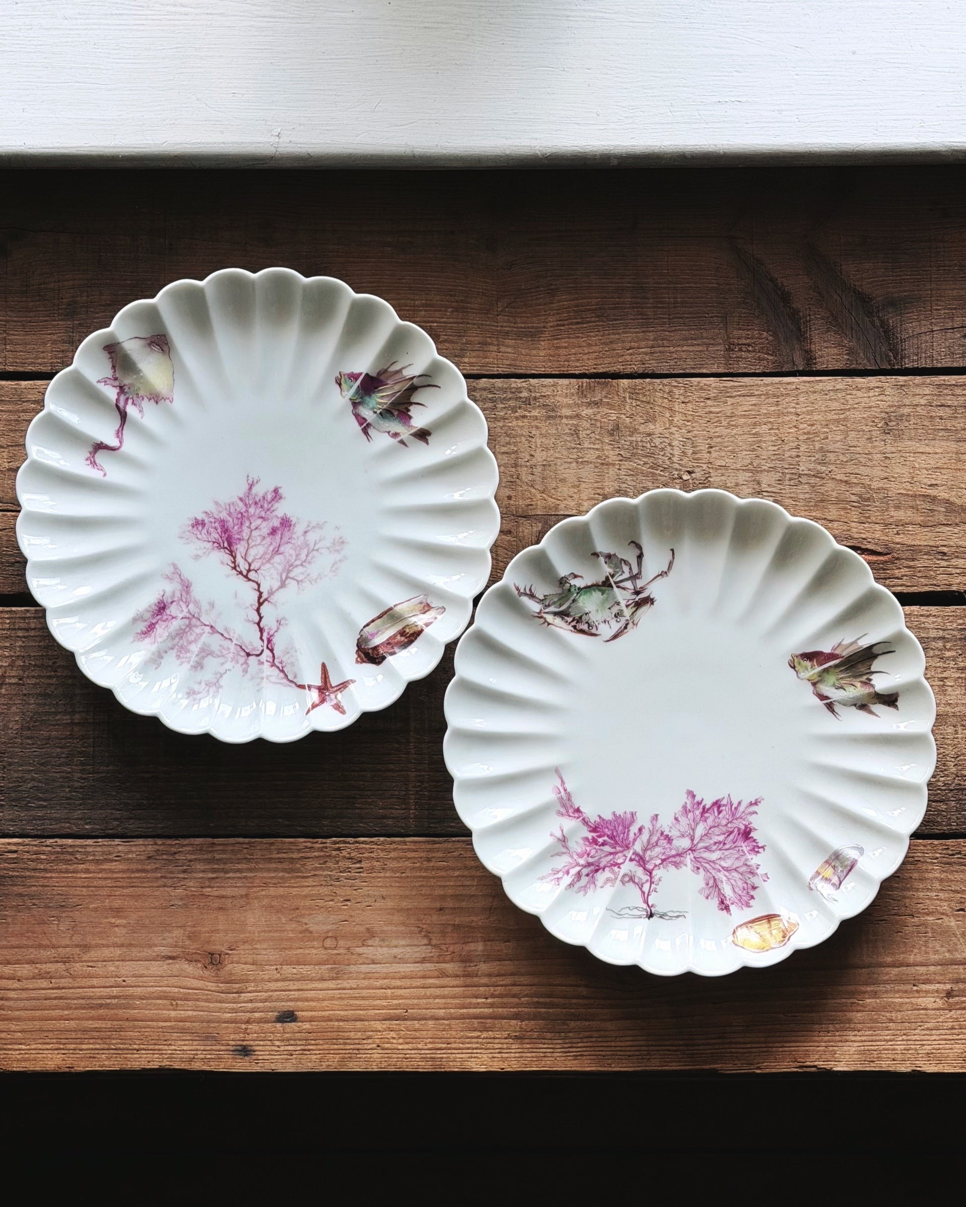 Pair of Nautical French Porcelain Salad Plates with scalloped edges, decorated with pink seaweed and small fish illustrations, displayed on a rustic wooden surface.