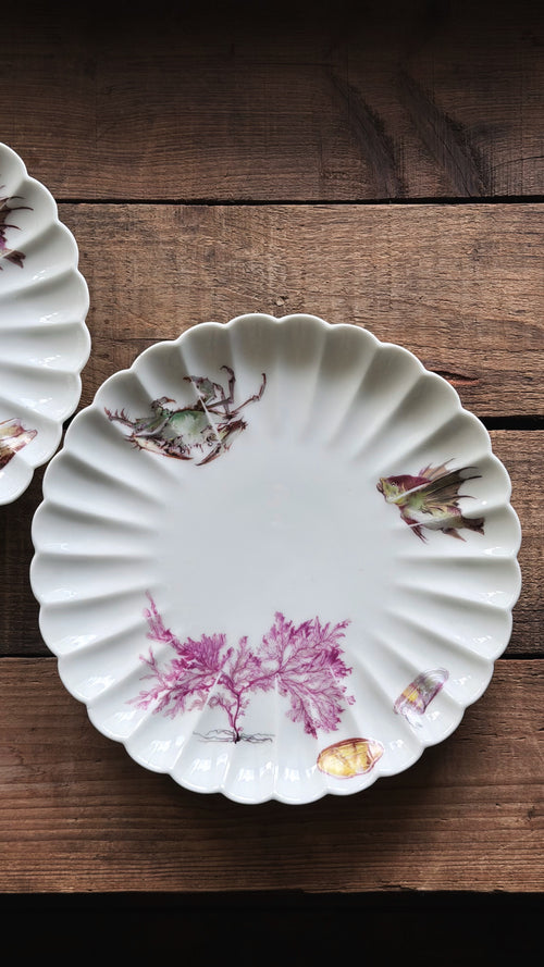 An Antique Gilman Collamore & Co Limoges Plates  with a scalloped rim, decorated with pink and green seaweed and small seashell motifs, displayed on a dark wooden surface.