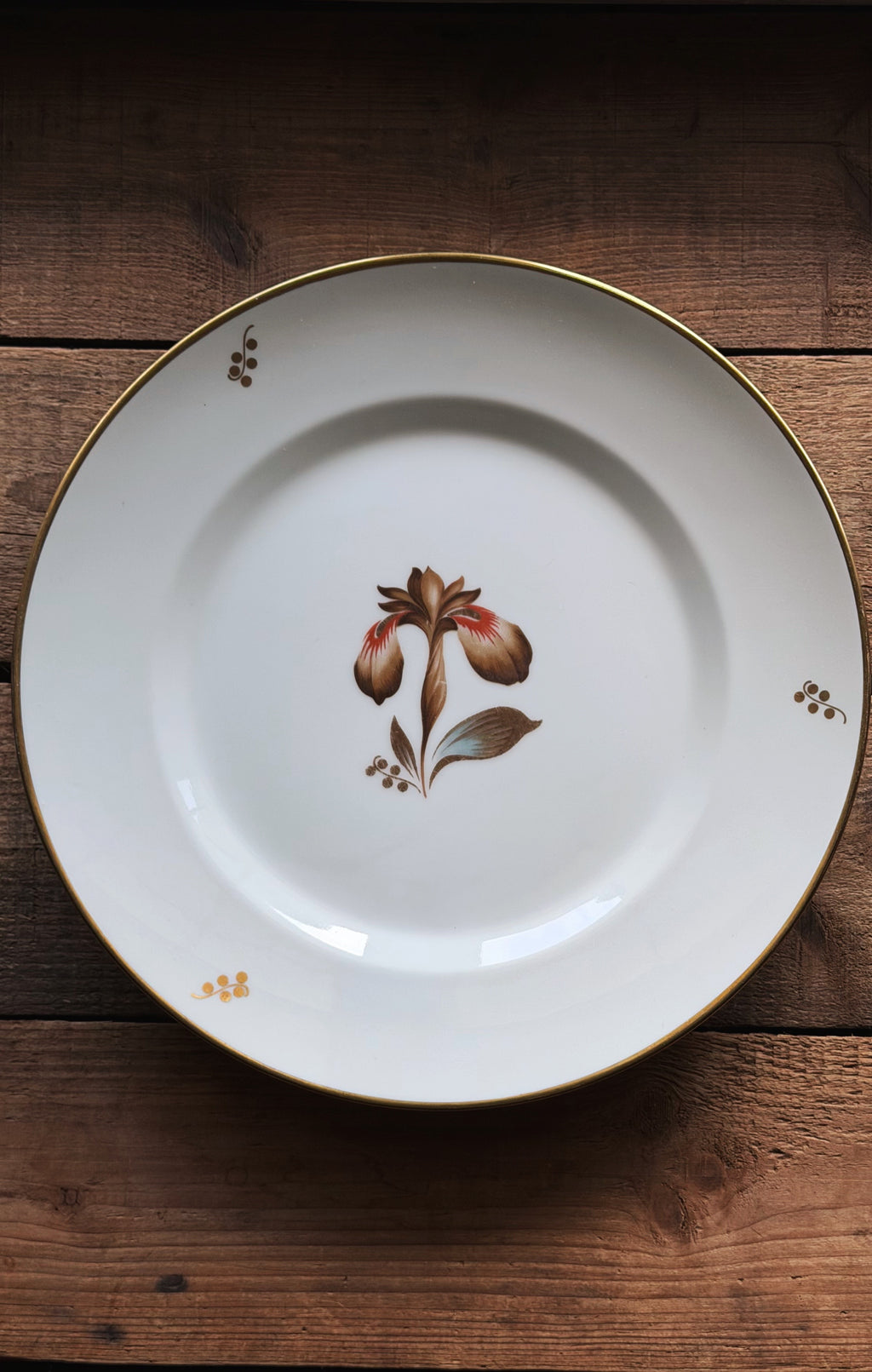 A white porcelain dinner plate with a gold rim, featuring a central hand-painted floral motif in brown, red, and green, set against a rustic dark wood background.