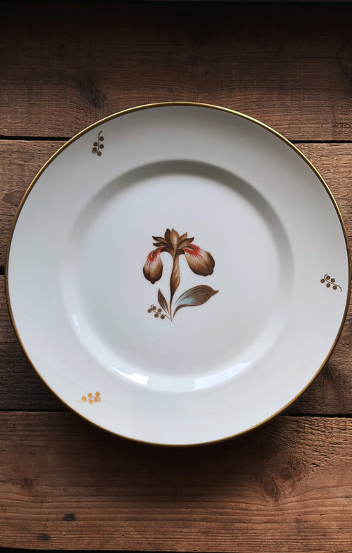A white porcelain dinner plate with a gold rim, featuring a central hand-painted floral motif in brown, red, and green, set against a rustic dark wood background.