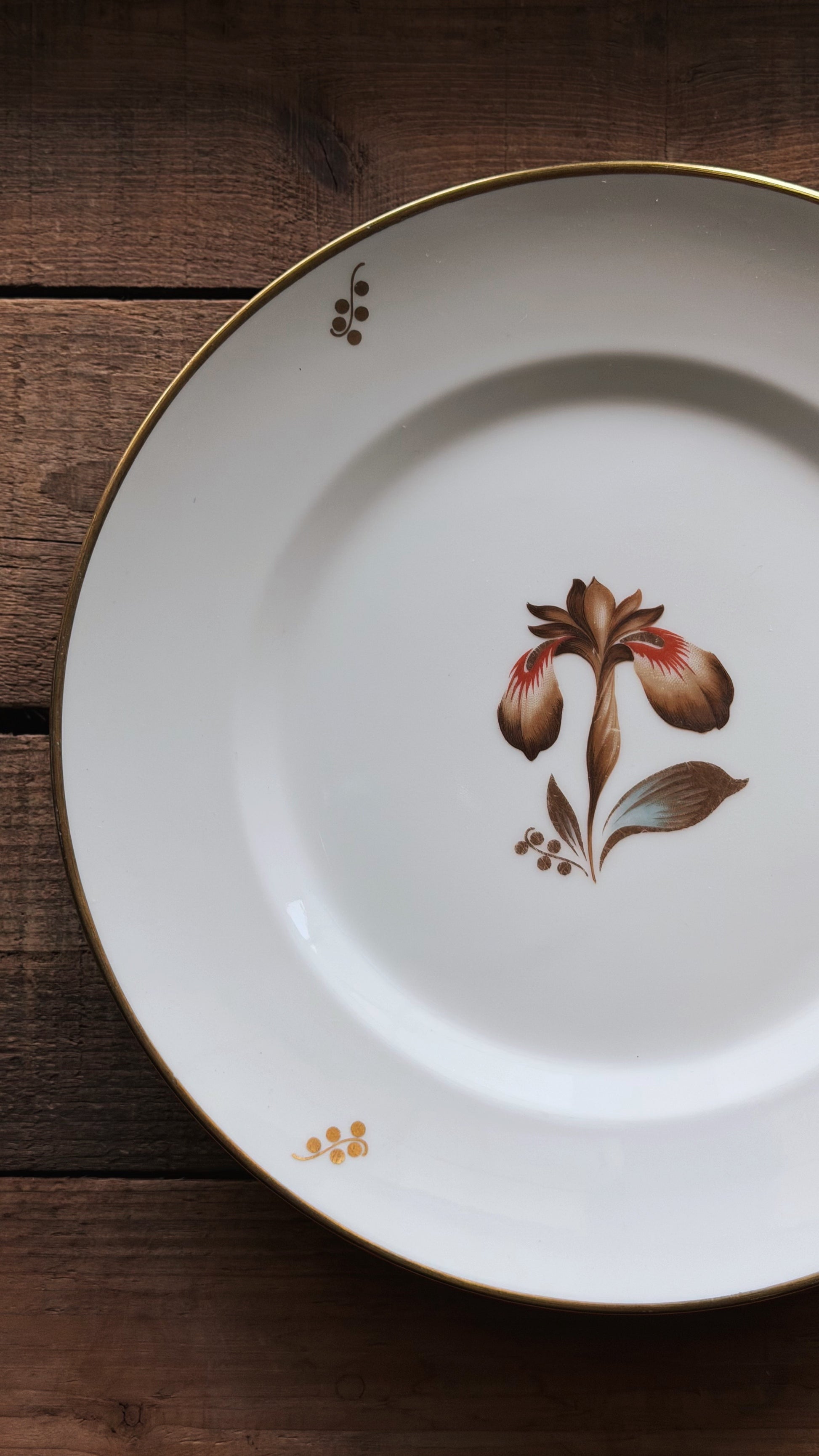 A Royal Copenhagen Brown Iris dinner plate with a gold rim, featuring a hand-painted iris flower motif in brown, red, and green in the center, displayed on a dark rustic wooden surface.