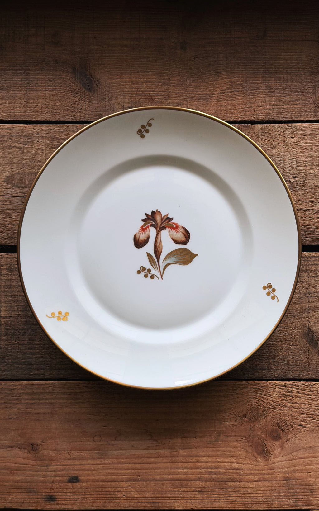 A Vintage Royal Copenhagen Brown Iris Luncheon Plate with a gold rim and a central floral illustration, displayed on a rustic dark wood background.