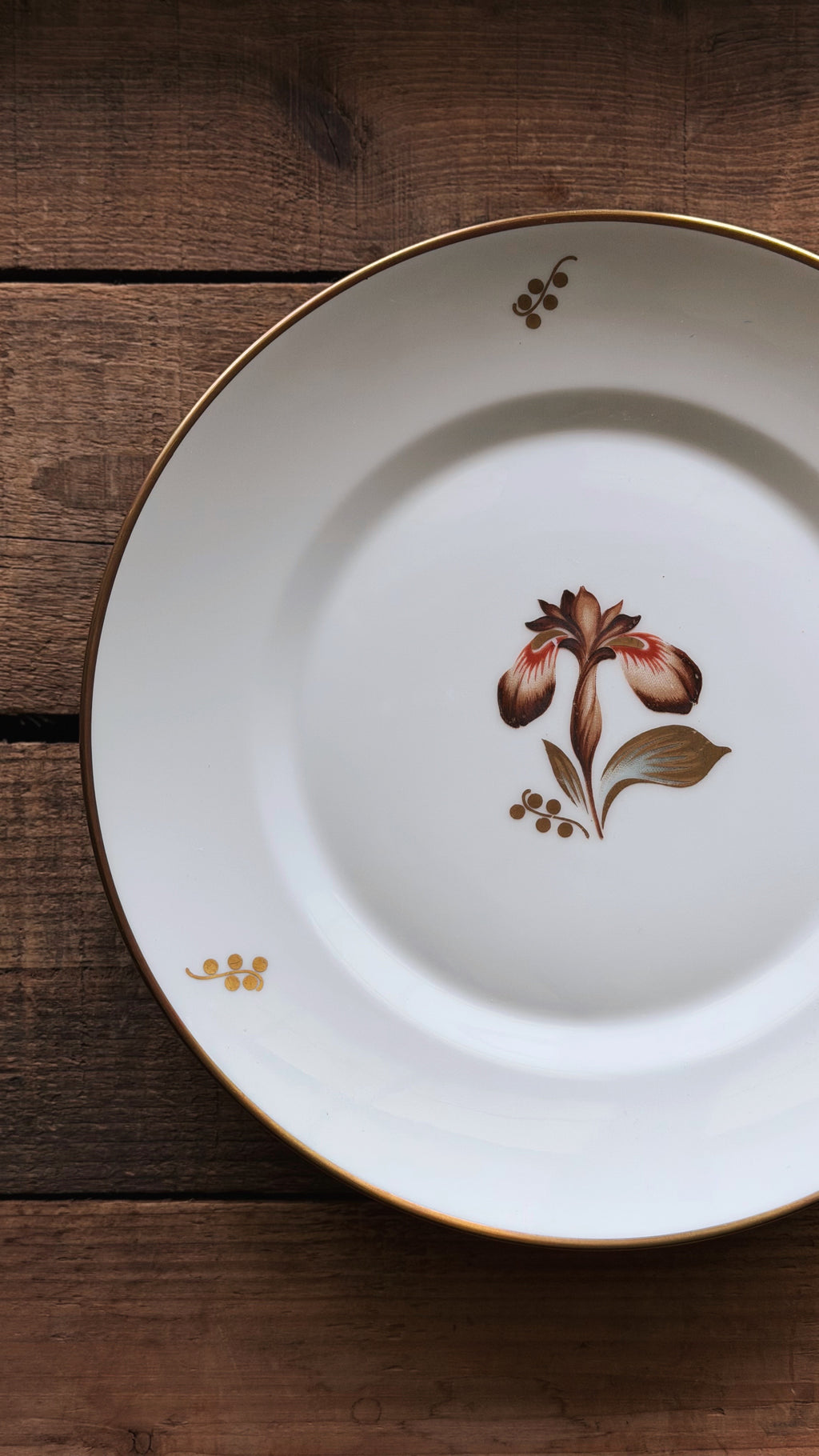 A Vintage Royal Copenhagen Brown Iris Luncheon Plate with a gold rim, featuring a hand-painted iris flower in the center and small gold floral accents near the edge, displayed on a dark wooden surface.
