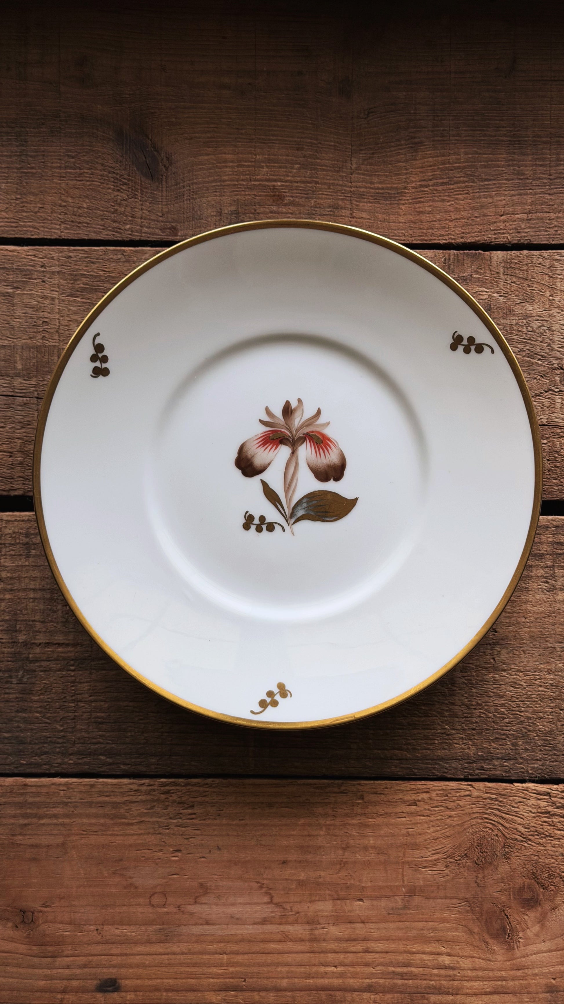Vintage Royal Copenhagen Brown Iris Salad Plate with a gold rim and a central floral illustration, displayed on a rustic dark wood background.