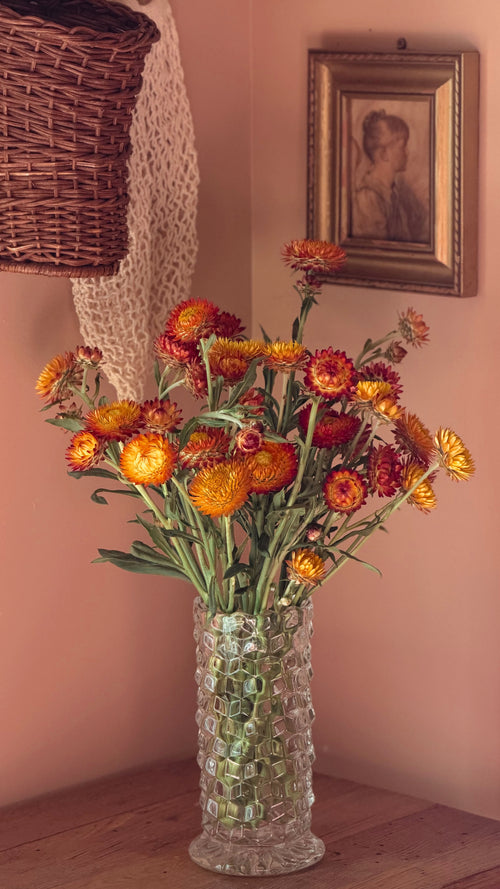 A bouquet of orange and red strawflowers arranged in a Vintage Fostoria American clear glass 8 inch vase, placed on a wooden table against a warm peach-pink wall with a framed picture and wicker decor in the background.