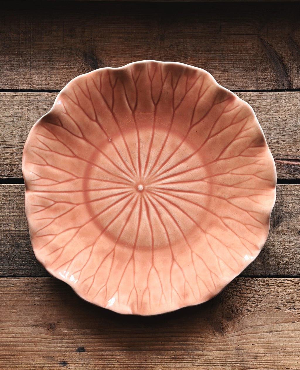 A Metlox Vernon Ware Lotus Apricot Dinner Plate with a leaf or lotus petal design, featuring a glossy terracotta pink glaze and radial line patterns, set against a rustic dark wood background.
