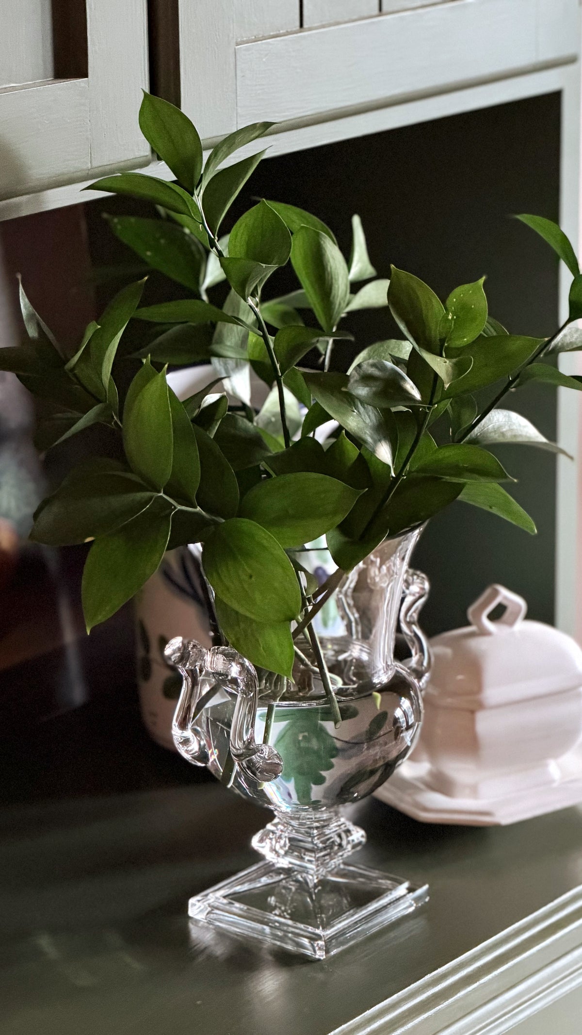 A clear glass urn-shaped vase with ornate handles and a square pedestal base, filled with green leafy branches, set on a dark tabletop in an indoor setting.