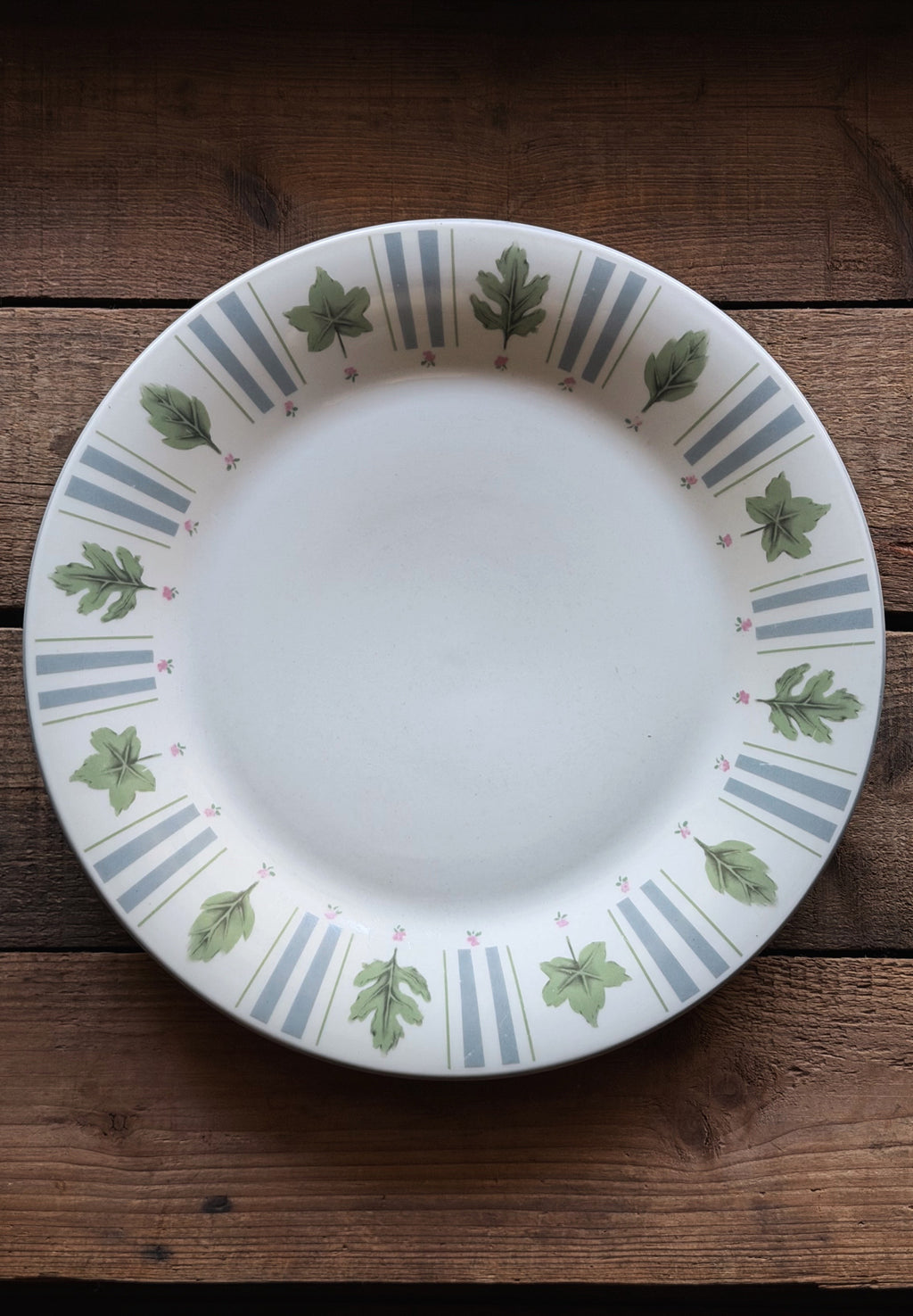 A round white ceramic plate with a decorative rim featuring green leaf motifs, small pink accents, and vertical blue-gray stripes, shown on a dark wooden surface.