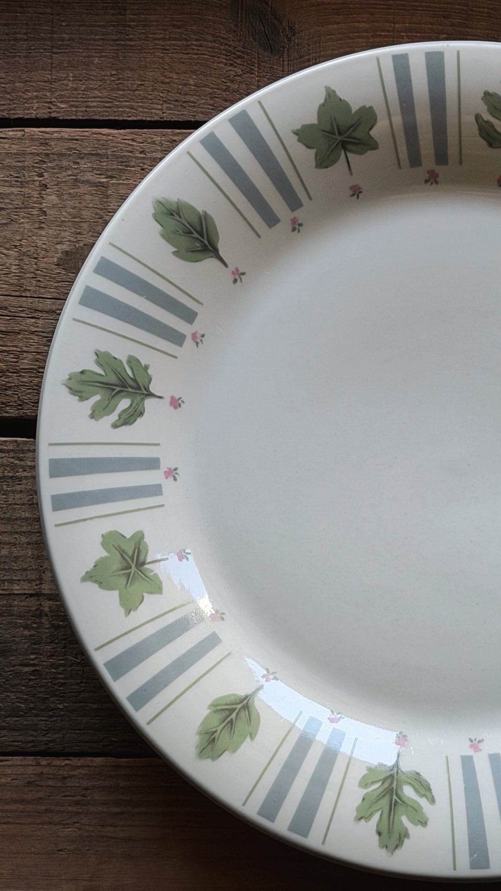 A white ceramic plate with a decorative border featuring green oak leaves and gray-blue stripes, shown on a dark wooden surface.
