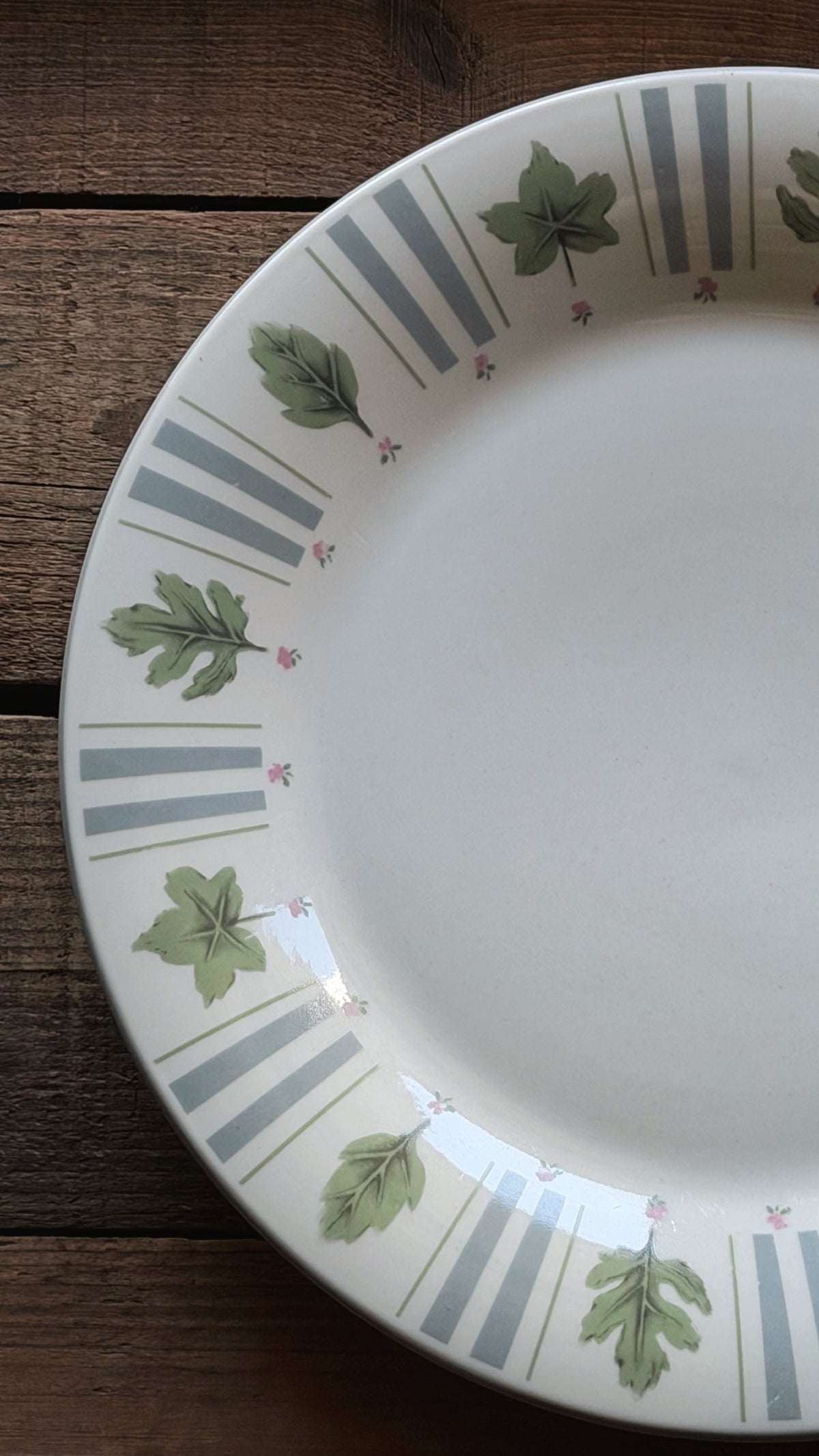 A white ceramic plate with a decorative border featuring green oak leaves and gray-blue stripes, shown on a dark wooden surface.
