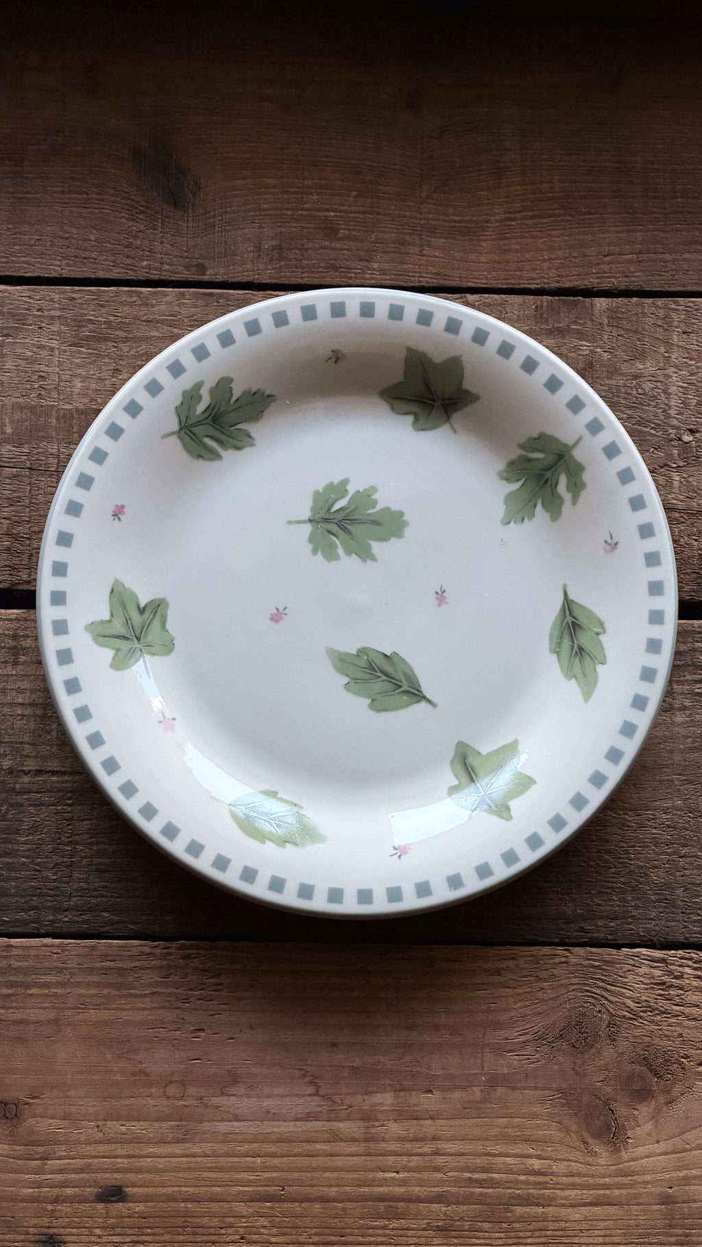 A white ceramic plate with a green leaf pattern and a gray checkered border, placed on a rustic wooden surface.